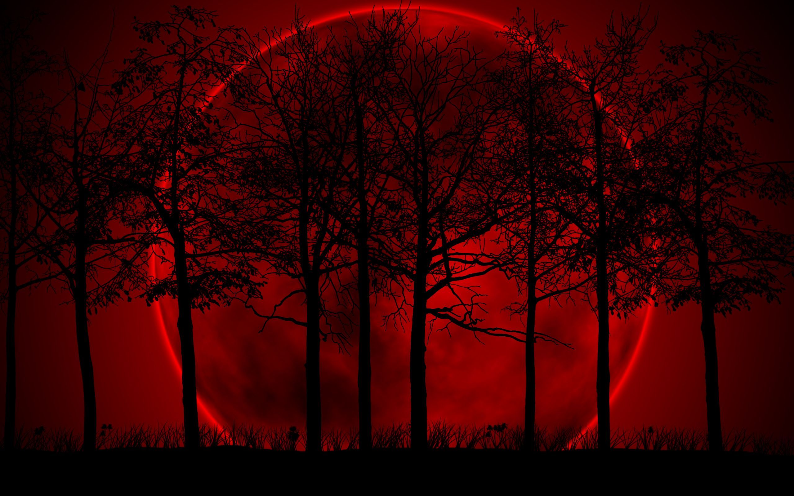 Luna rosso scuro con alberi, 2560x1600 2K+, PC