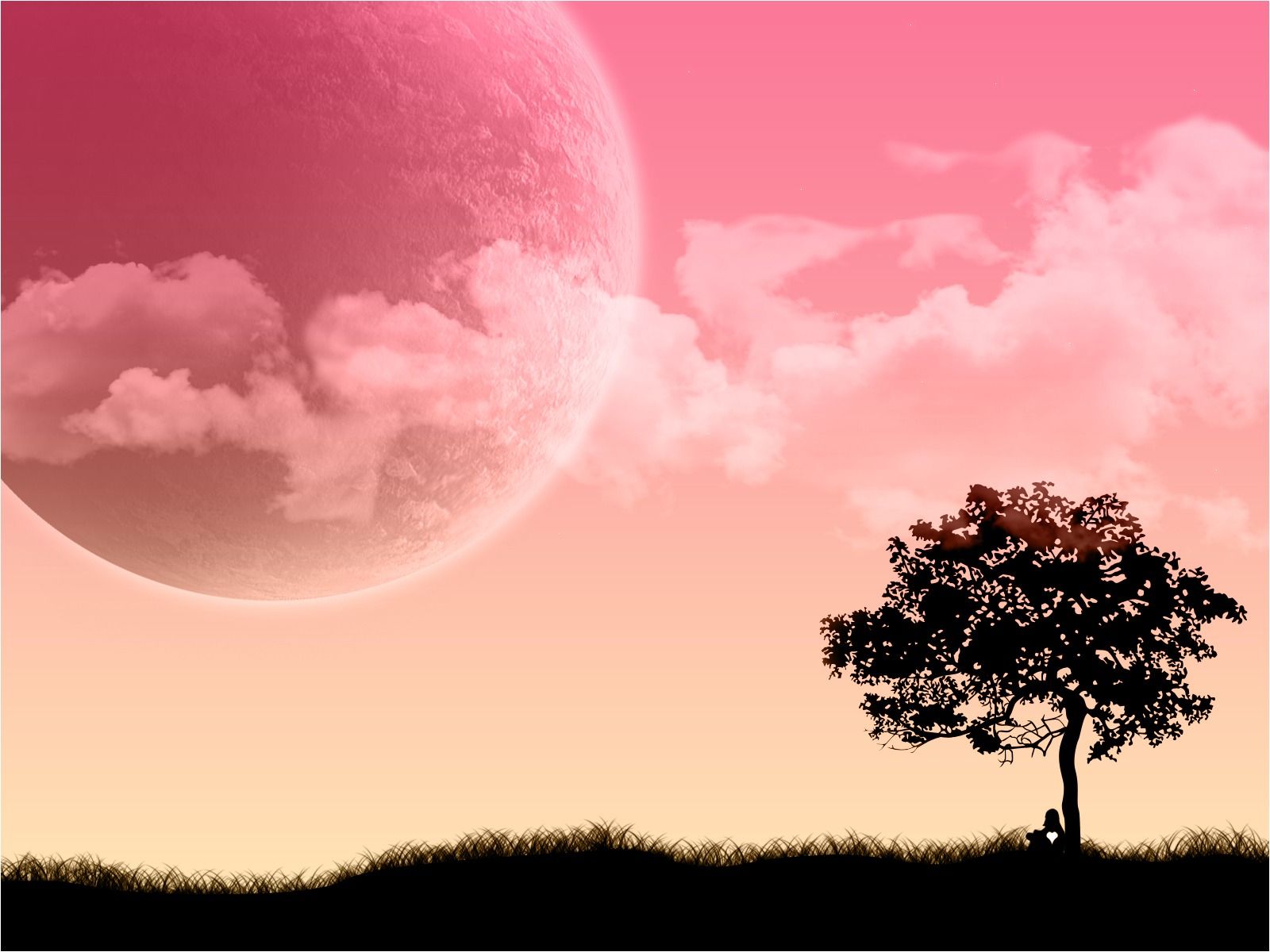 Luna rosa e albero silhouette, 1600x1200 900p, Laptop