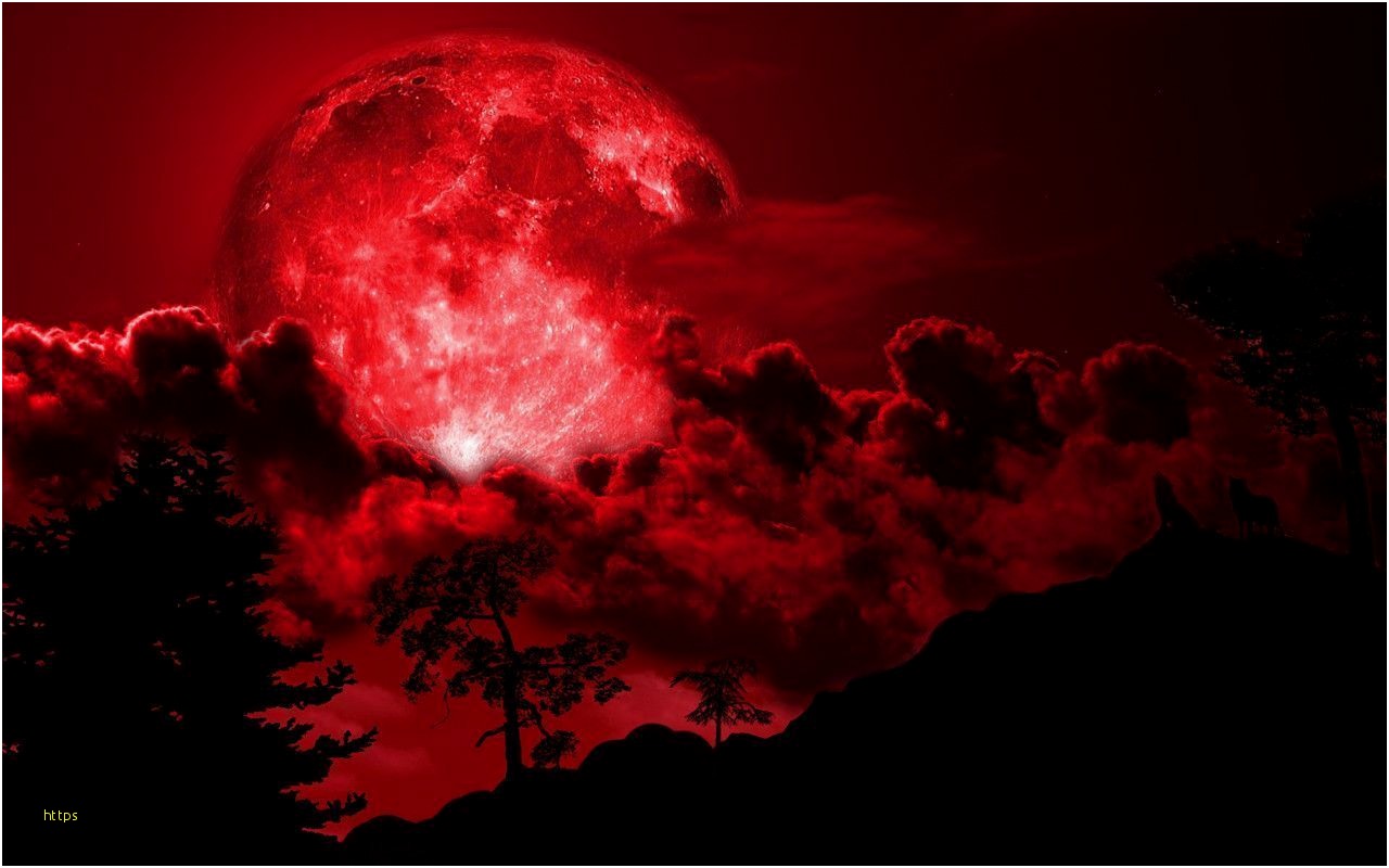 Luna rossa scura eclissi, 1600x1200 HD, ROG Asus Laptop