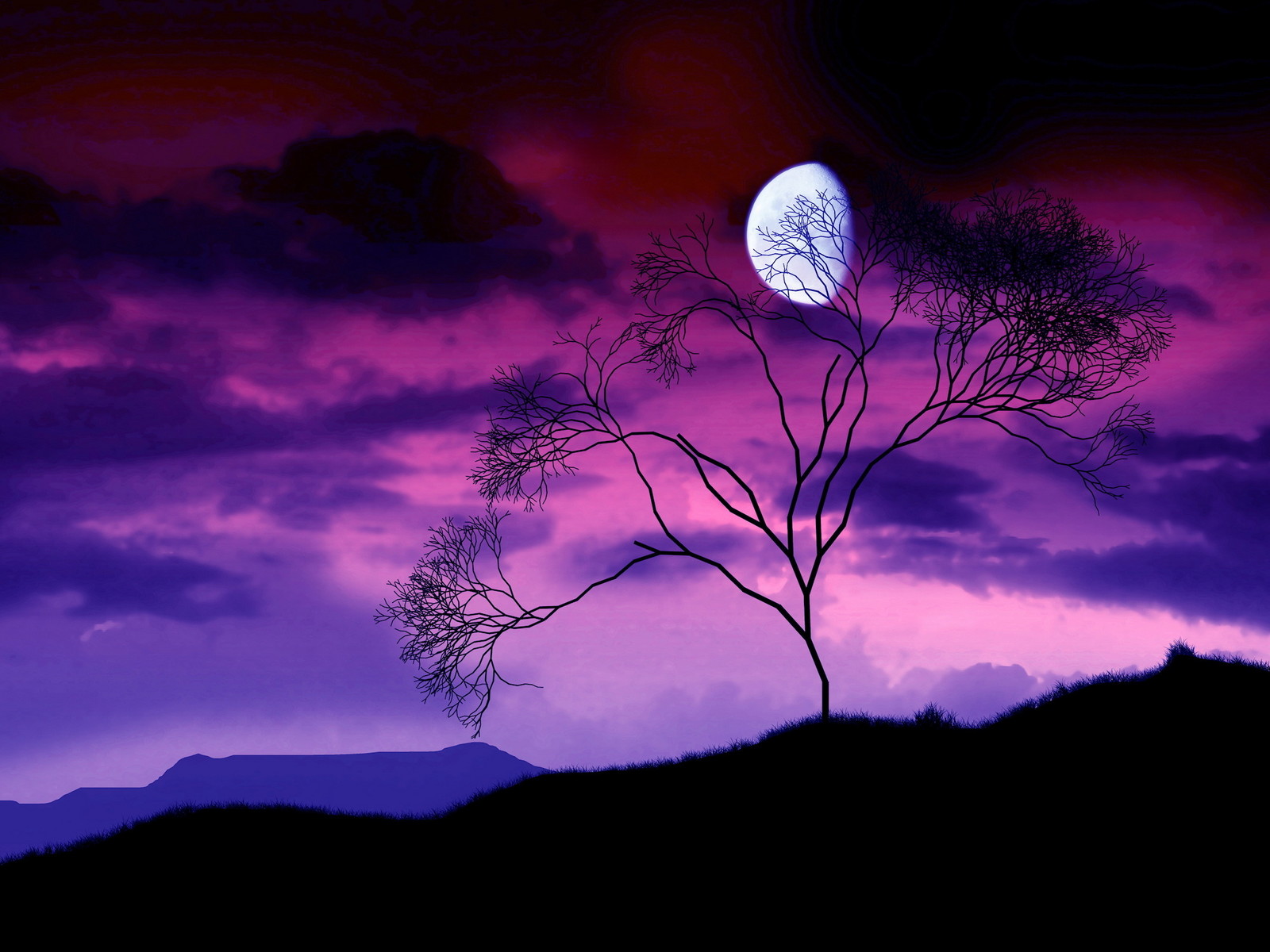 Luna viola con albero silhouette, 1600x1200 900p, Desktop