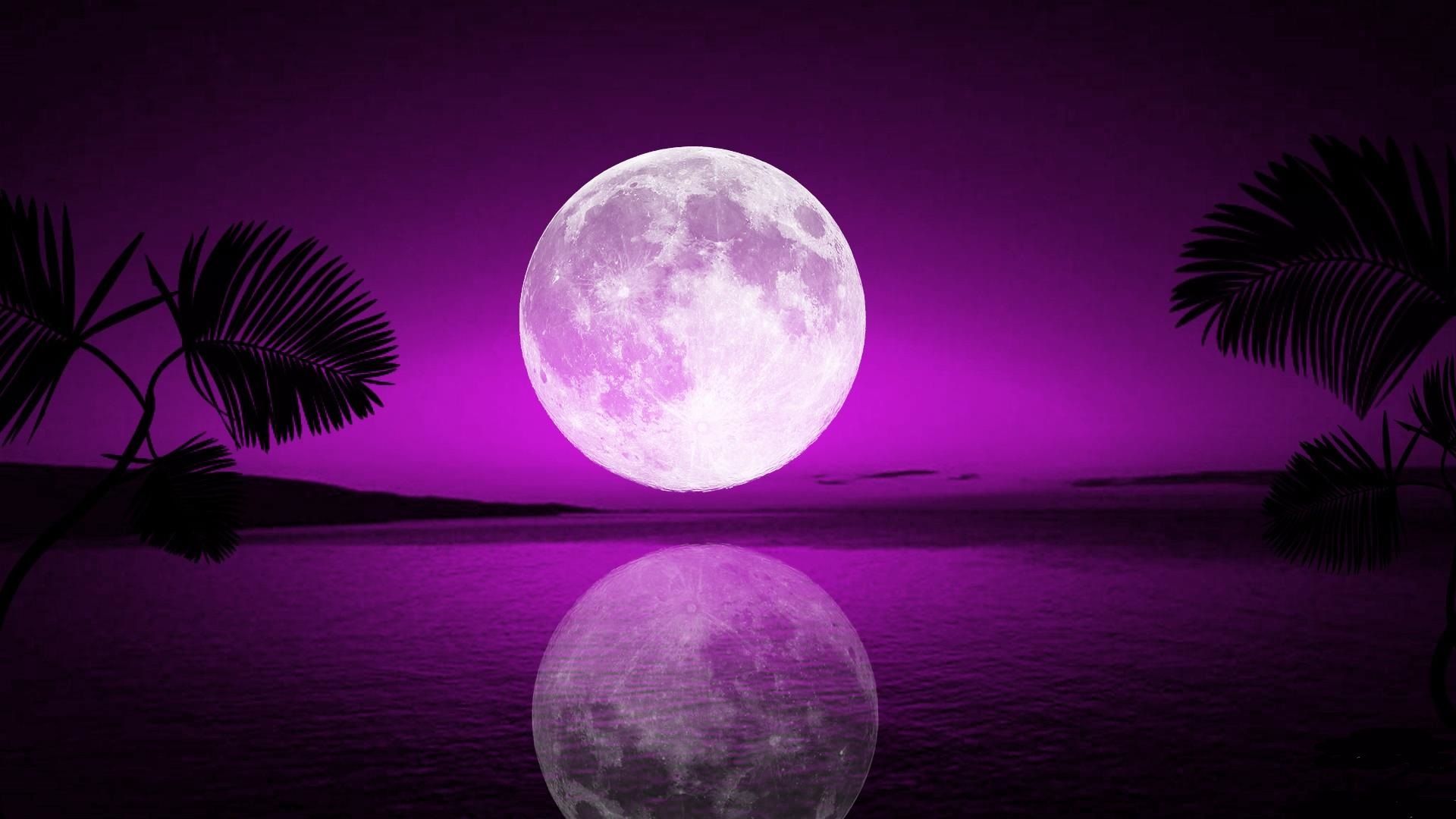 Luna viola su mare tropicale, 1920x1080 Full HD, PC Desktop