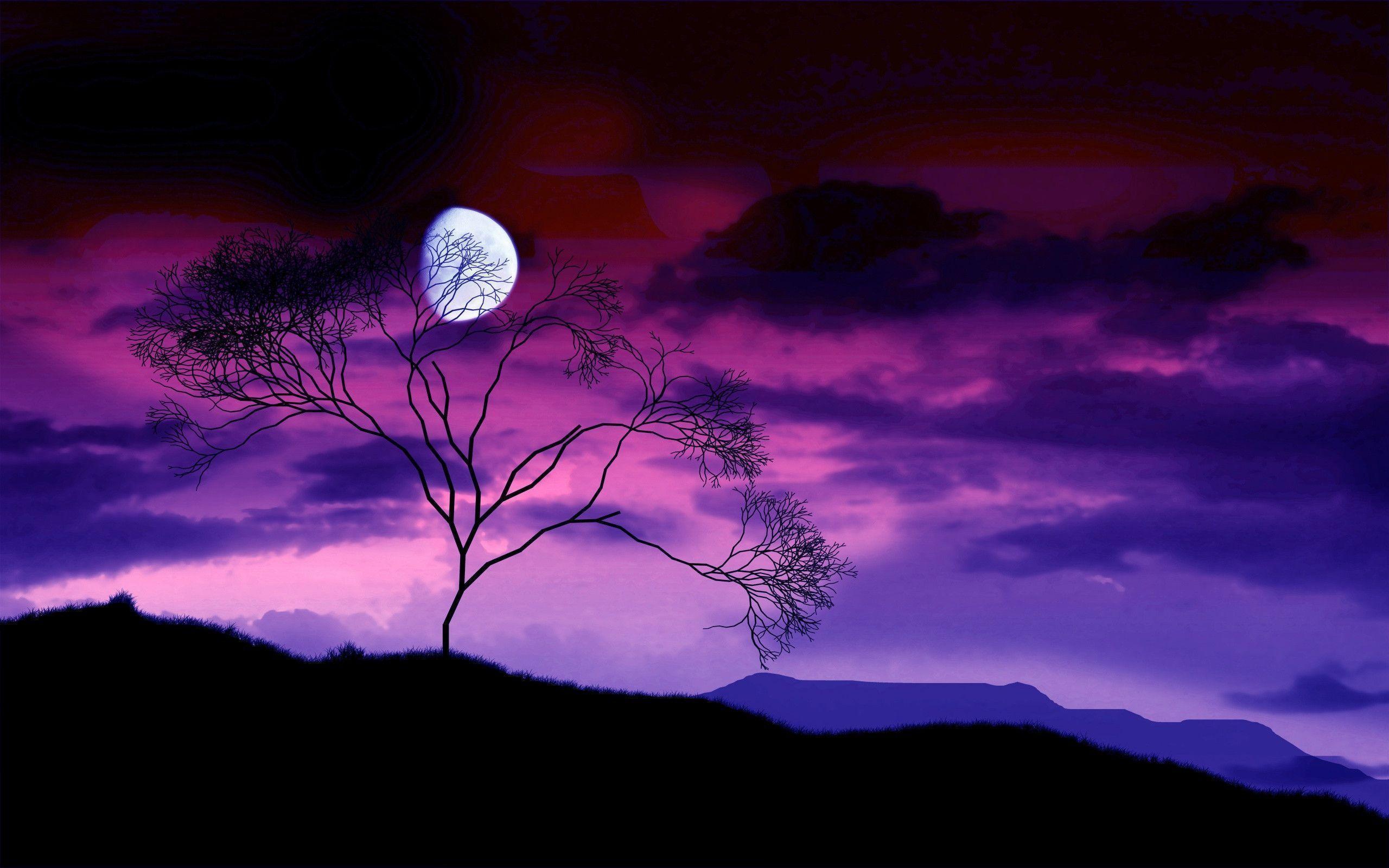 Luna viola con albero silhouette, 2560x1600 2K+, Desktop