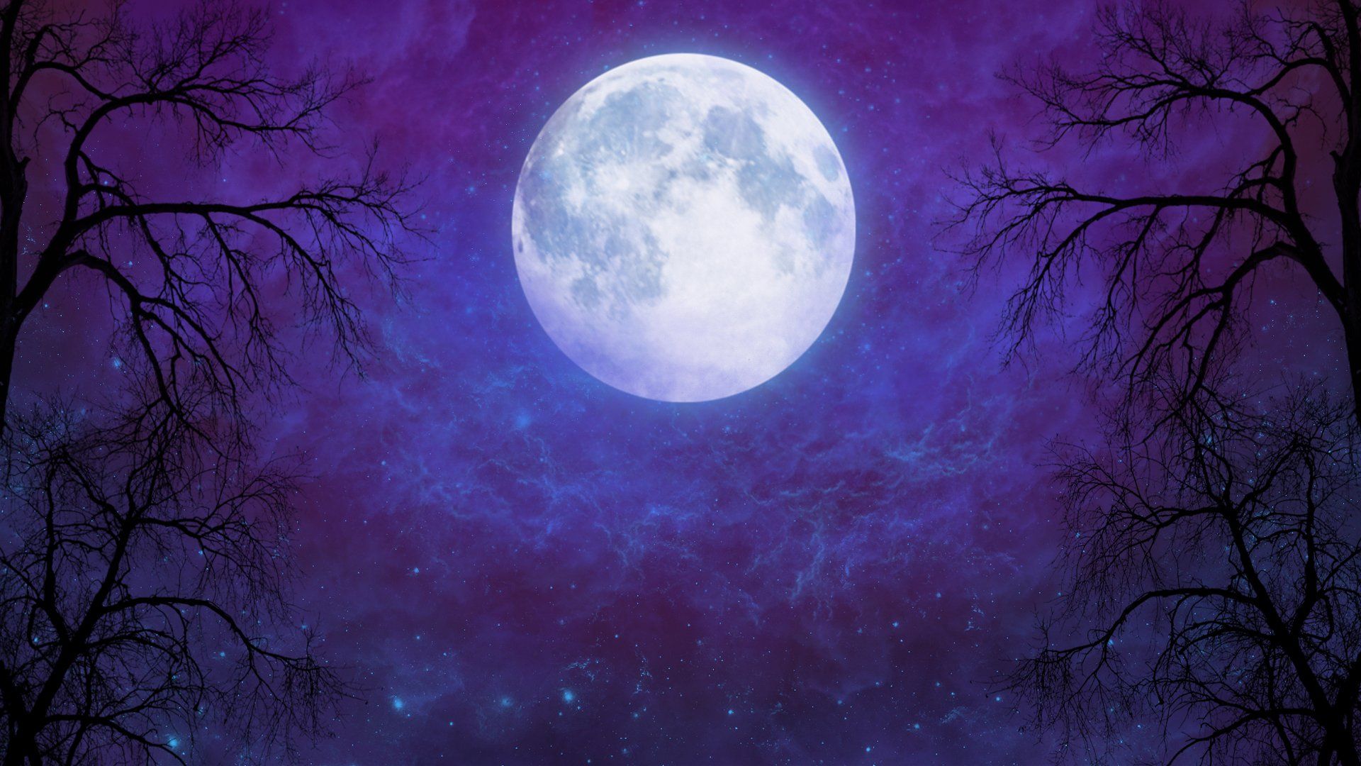 Luna piena cielo viola, 1920x1080 Full HD, PC