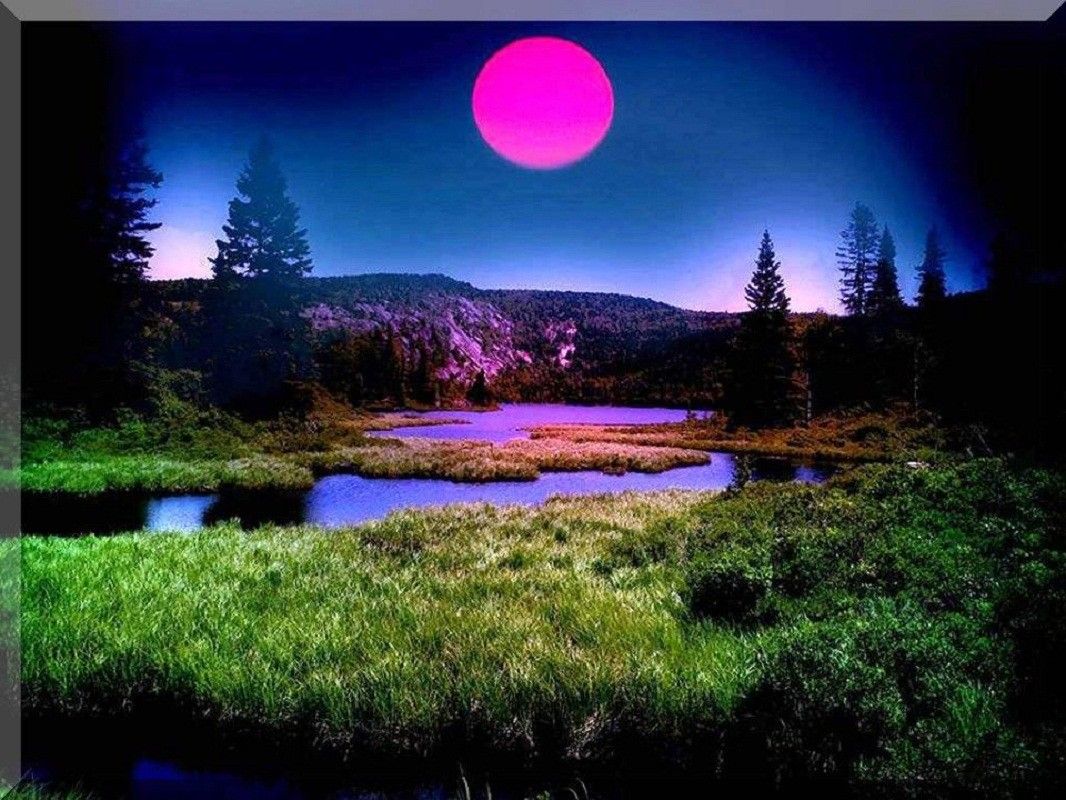 Luna viola su lago notturno, 1066x800 HD, PC Desktop