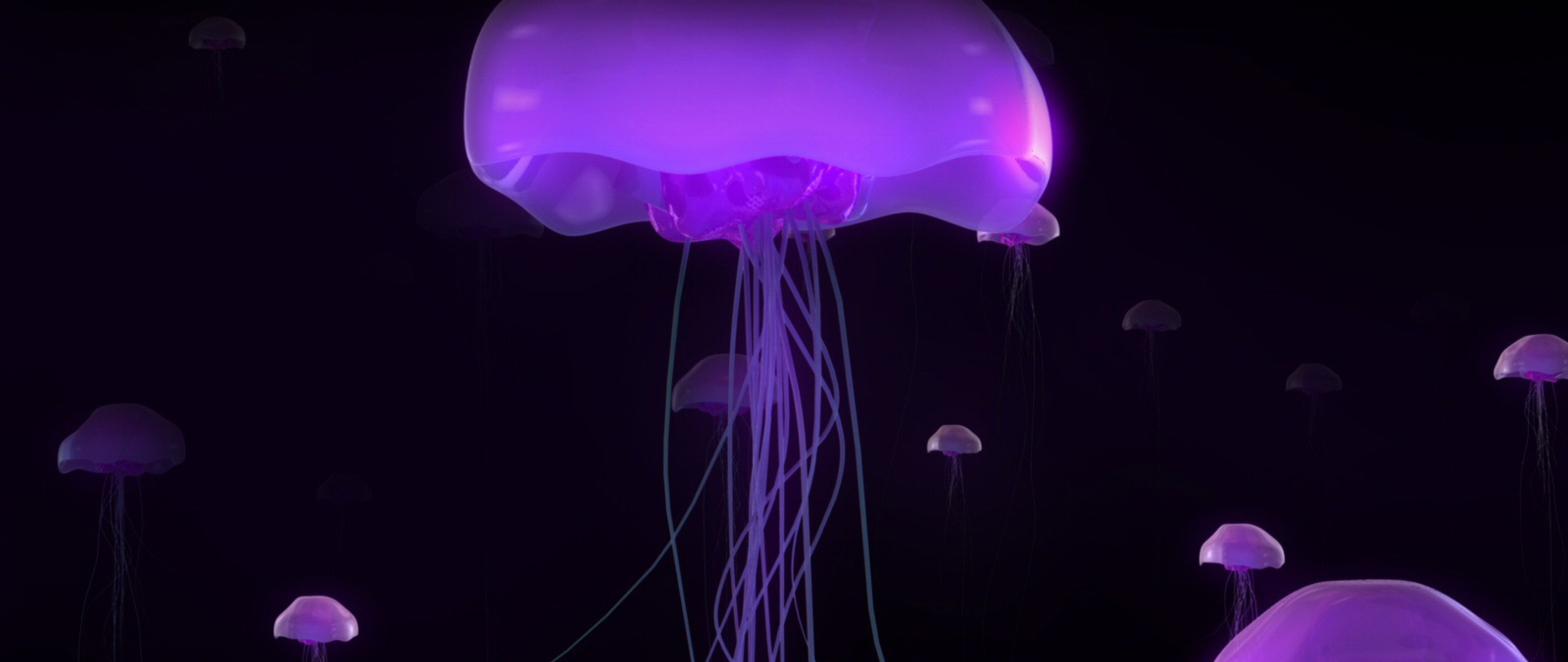 Meduse luminose viola nell'oscurità, 5120x2160 Ultrawide, Dual Monitor