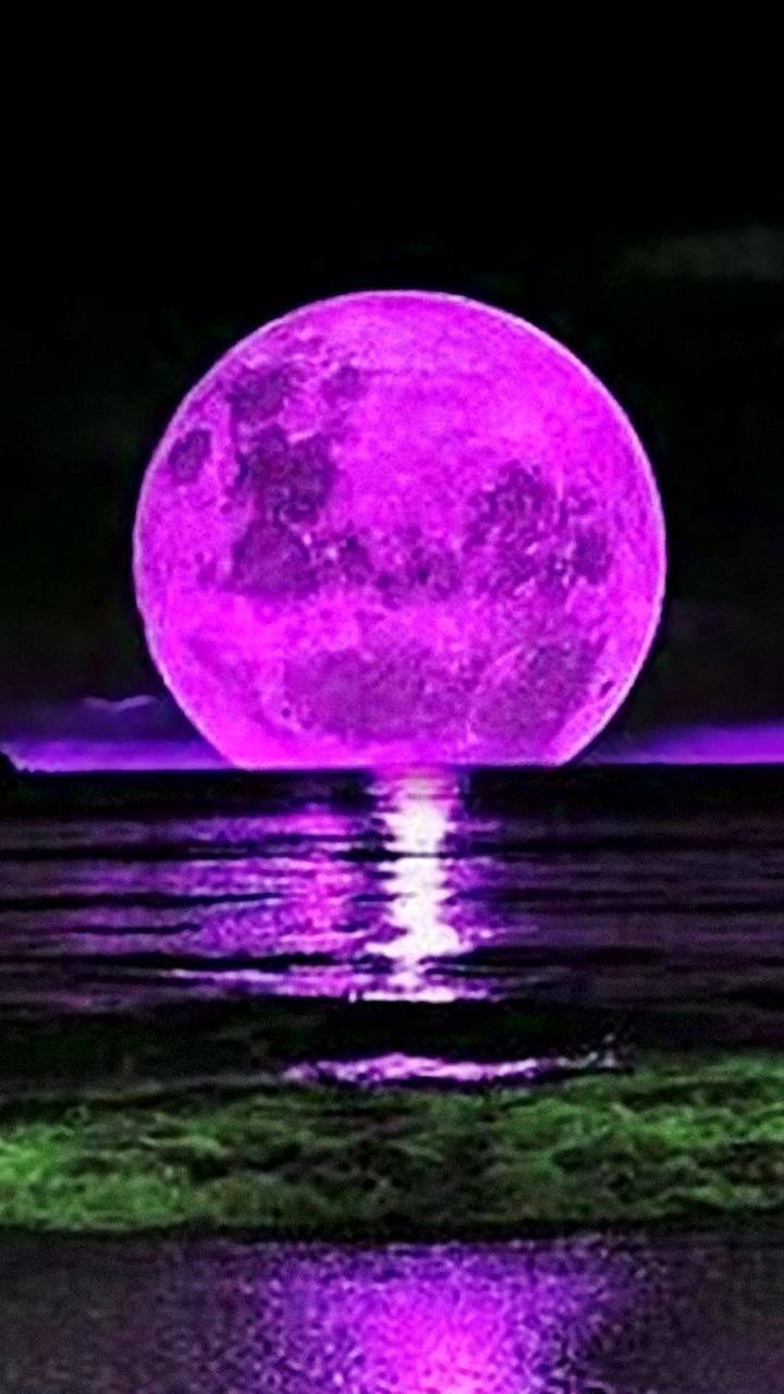 Luna viola sul mare, 720x1280 Full HD Verticale, Smartphone