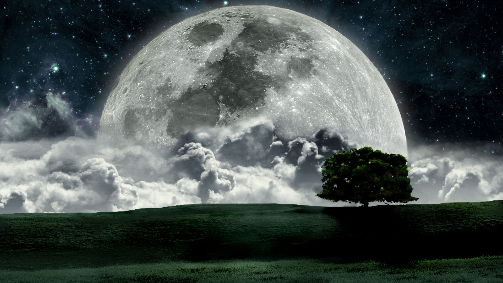 Luna gigante con albero solitario, 1920x1080 Full HD, Desktop