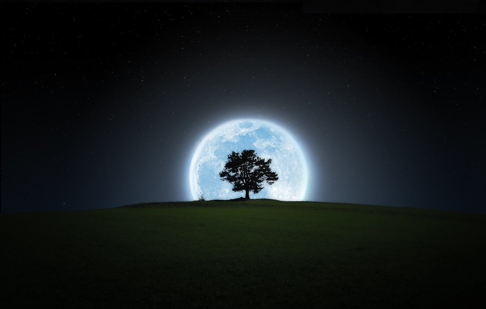 Albero silhouette luna piena notte, 1650x1050 900p, HP Laptop