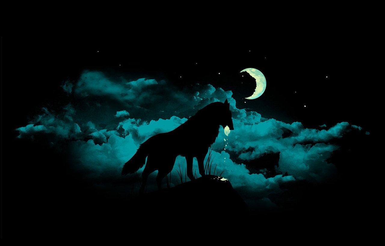 Lupo silhouette luna notte, 1280x819 720p, PC