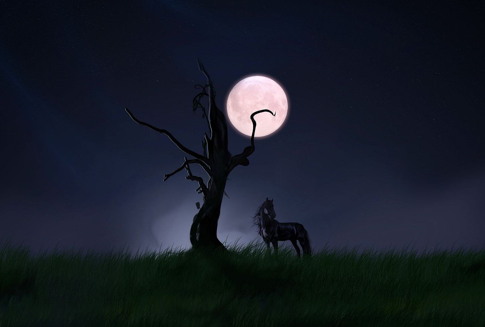 Cavallo albero luna notte, 1600x1080 HD Ready, Laptop