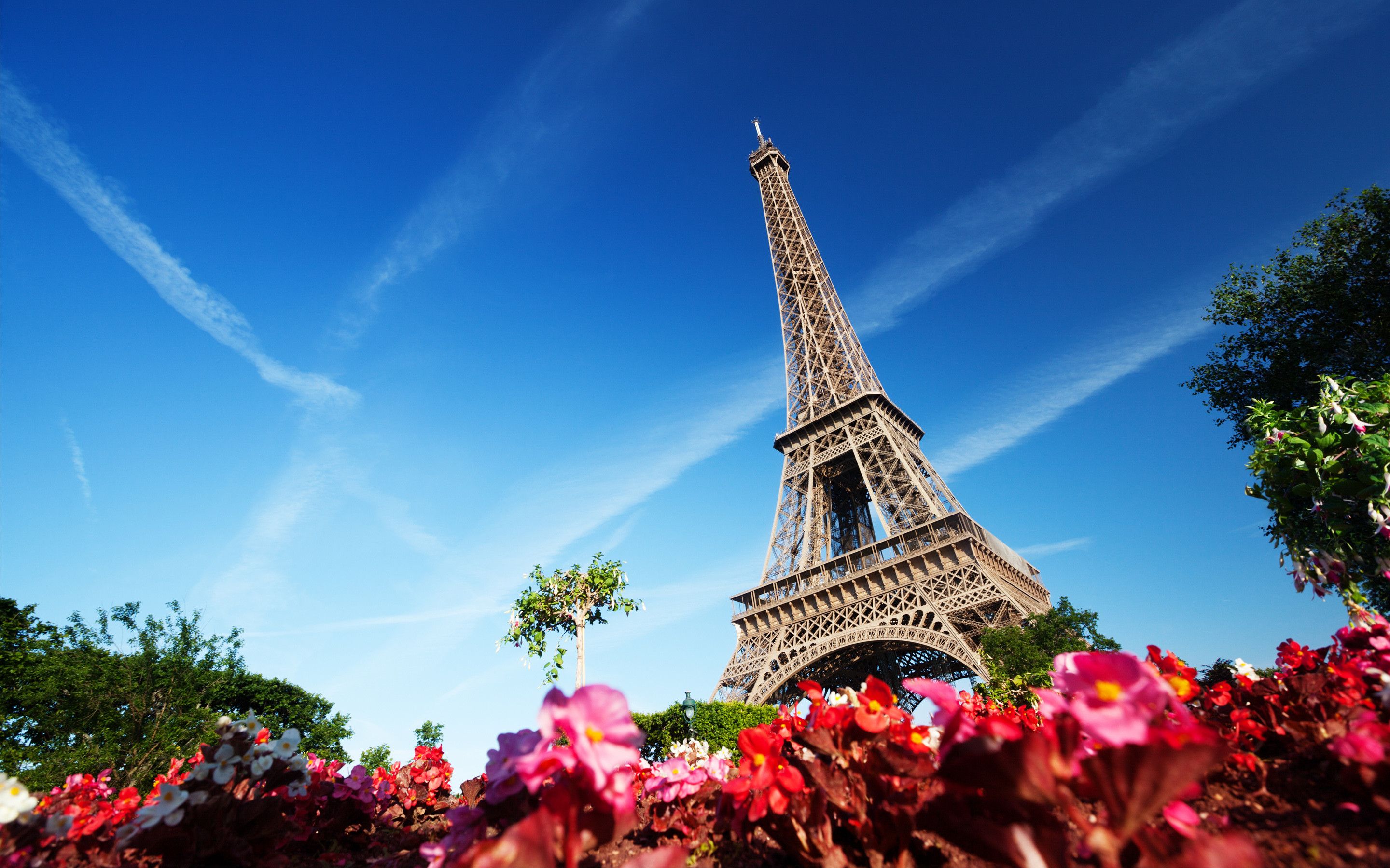 Torre Eiffel con fiori, Parigi, 2880x1800 2K, Desktop