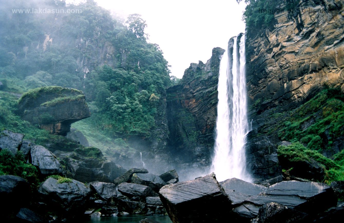 Cascata nella foresta tropicale, 1339x868 720p, Laptop