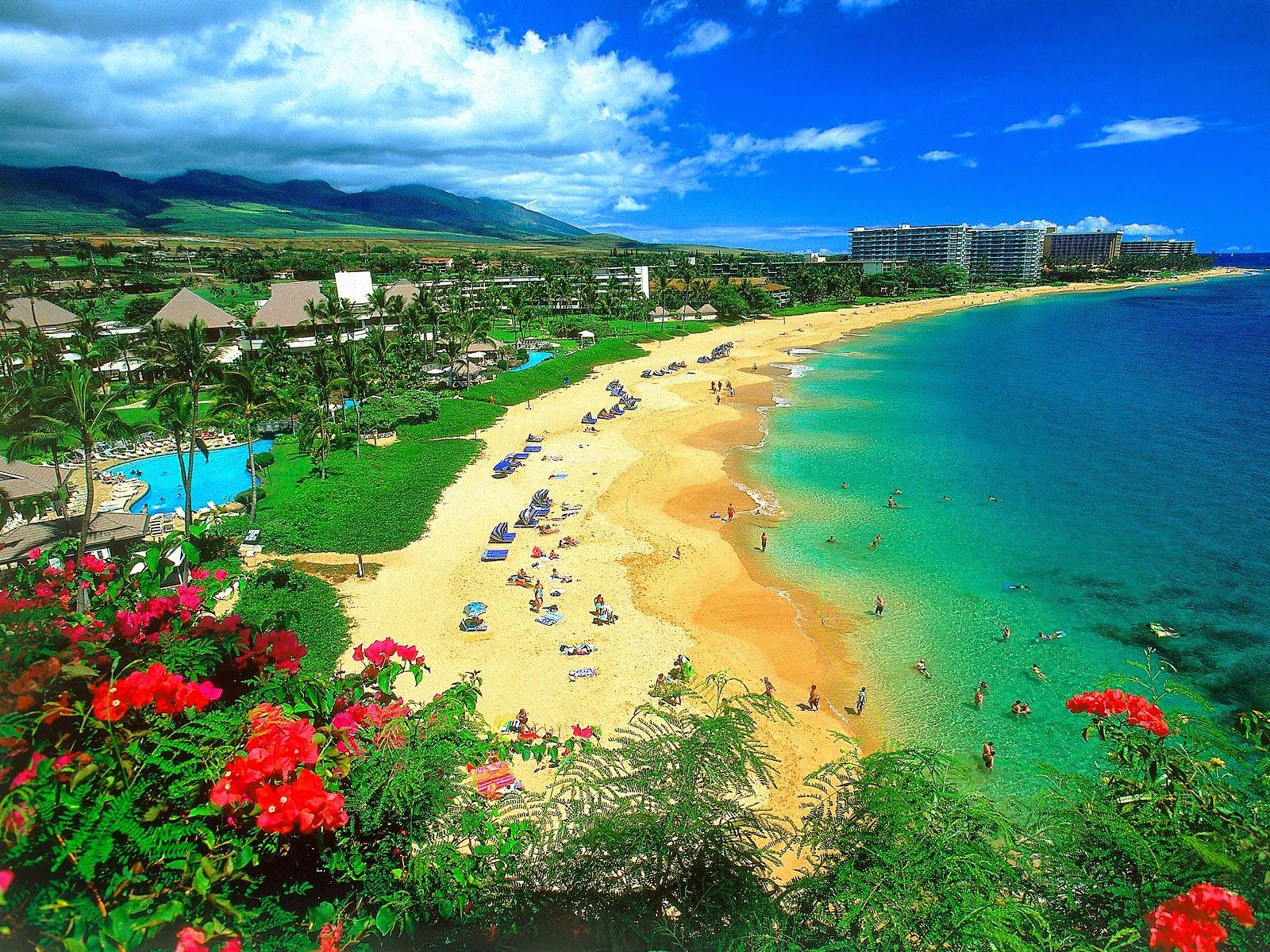 Spiaggia tropicale con fiori rossi, 1600x1200 900p, Desktop