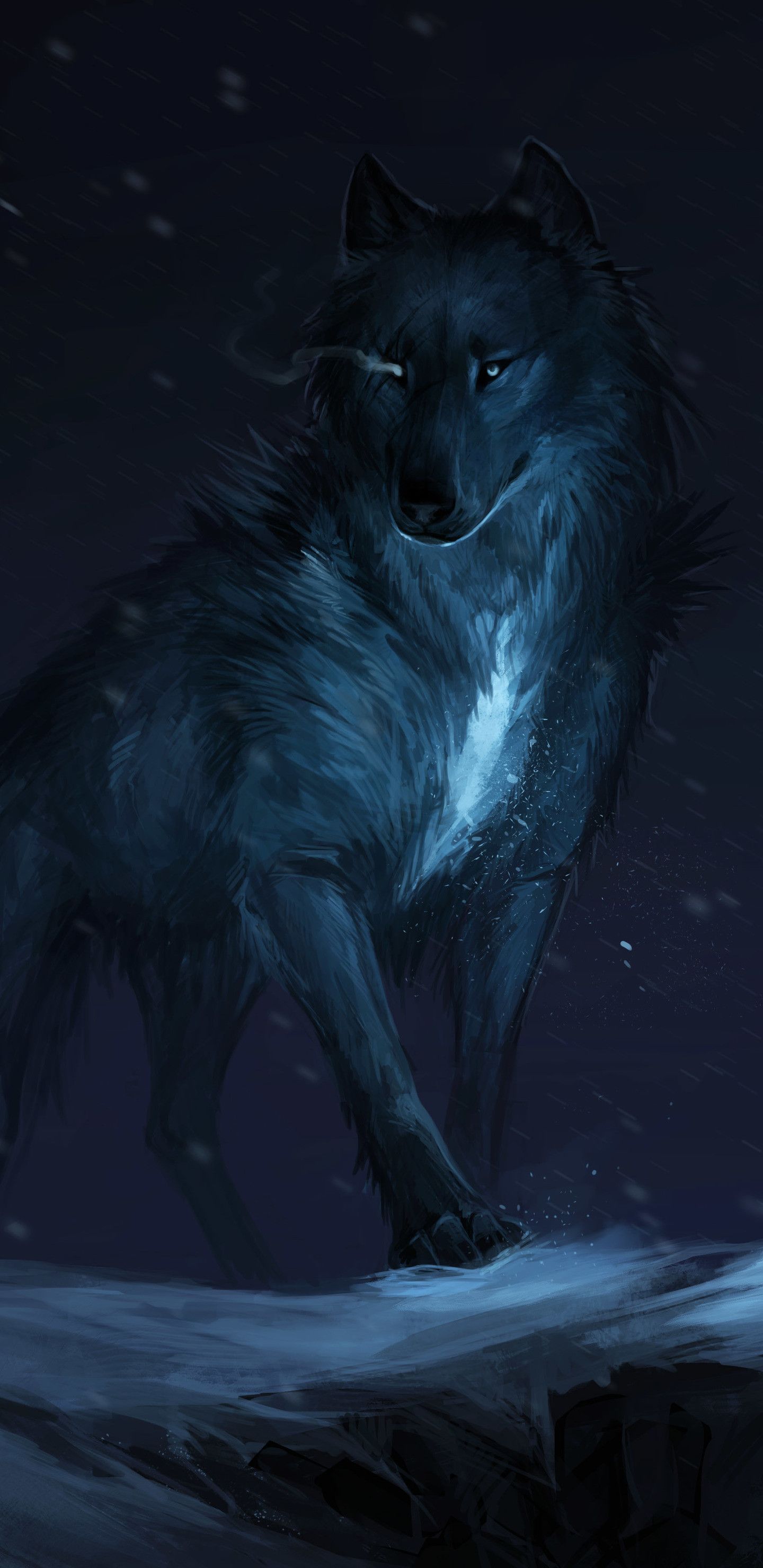 Lupo scuro occhi blu neve, 1440x2960 Verticale, Mobile