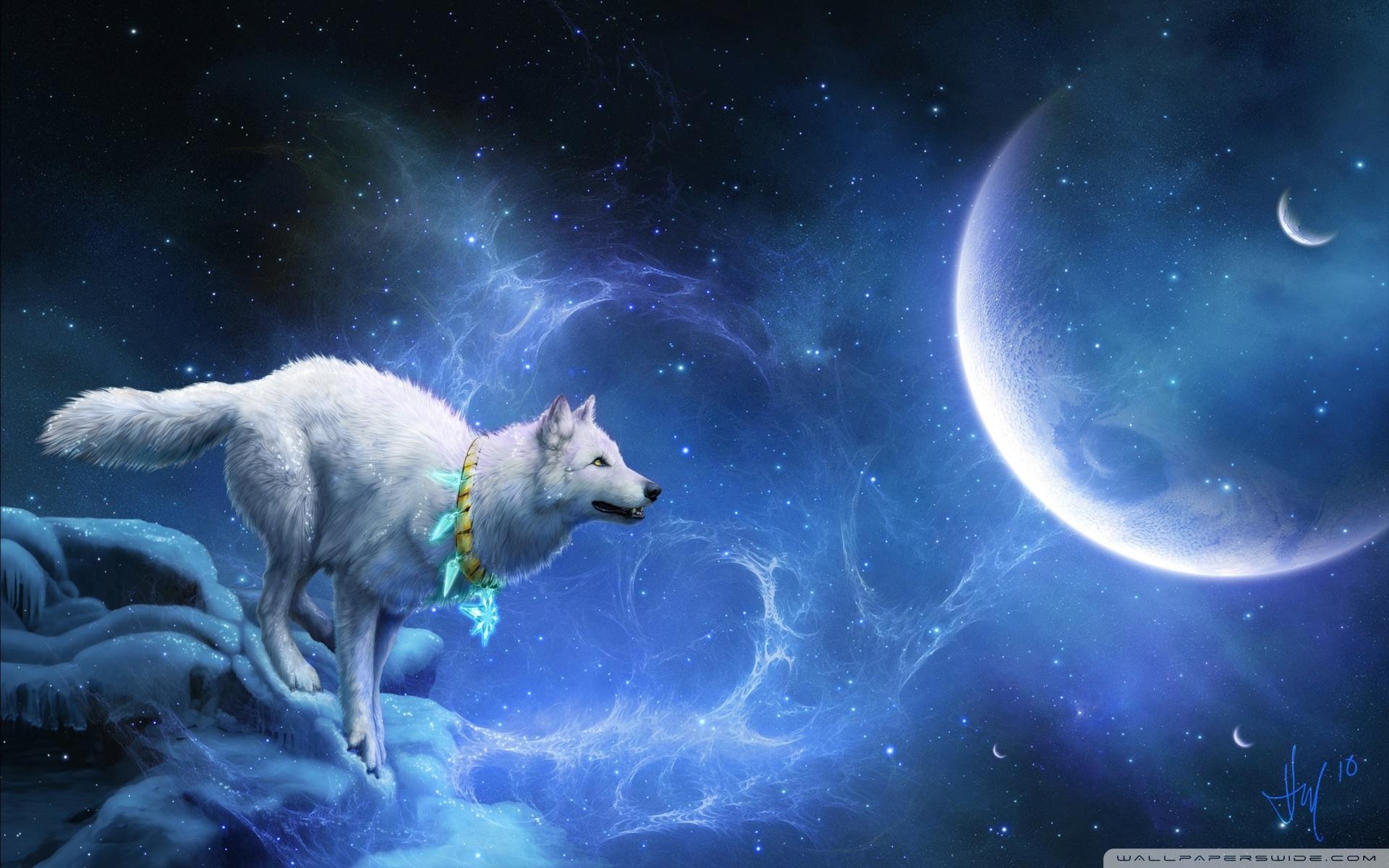Lupo bianco galassia blu, 1920x1200 WUXGA, Desktop