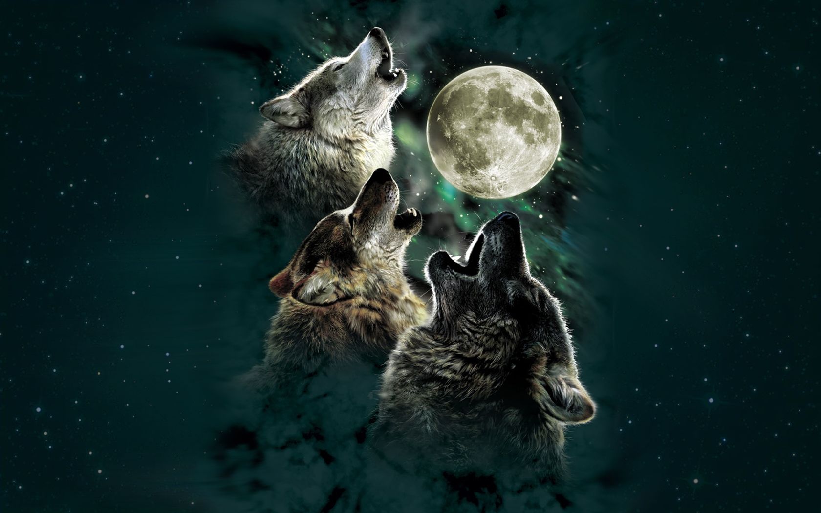 Lupi che ululano alla luna, 1680x1050 HD, Desktop