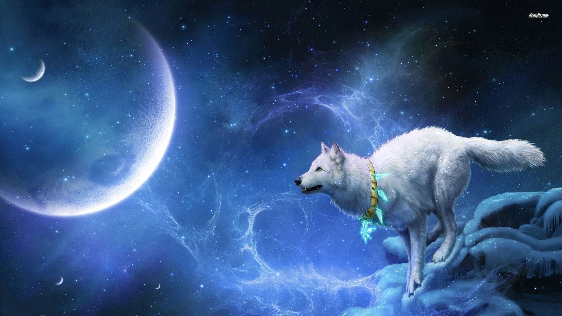 Lupo bianco che ulula alla luna, 1920x1080 1080p, PC