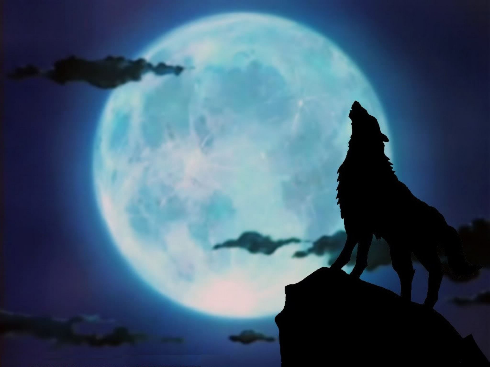 Lupo che ulula luna piena, 2048x1536 alta risoluzione, PC