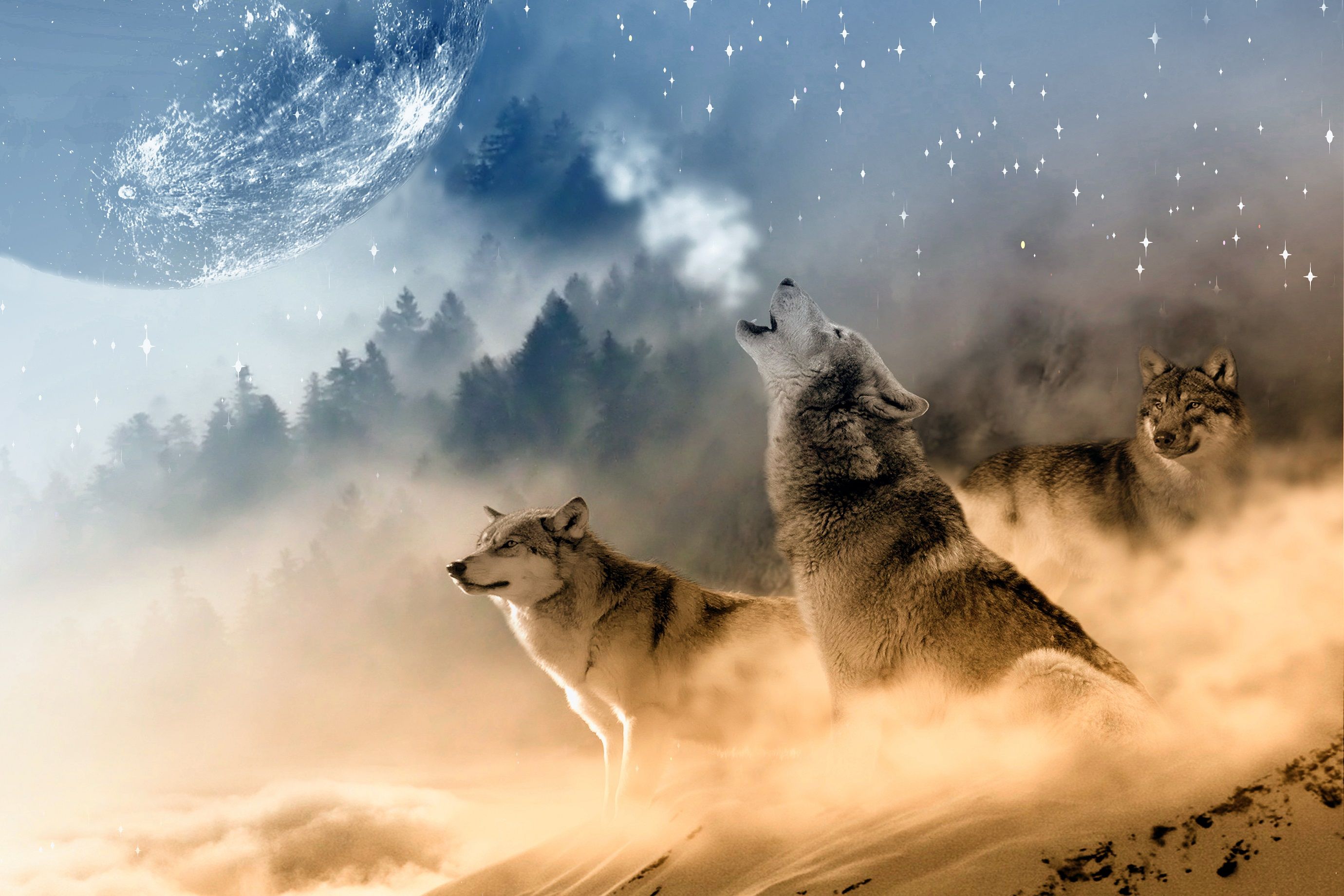 Lupi che ululano alla luna, 2760x1840 2K+, Desktop