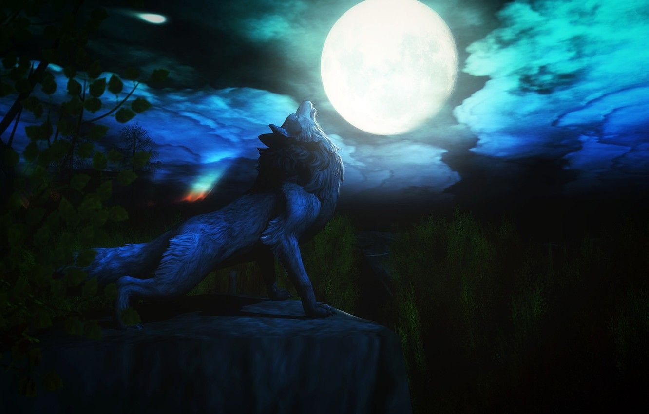 Lupo che ulula alla luna, 1332x850 HD, Desktop