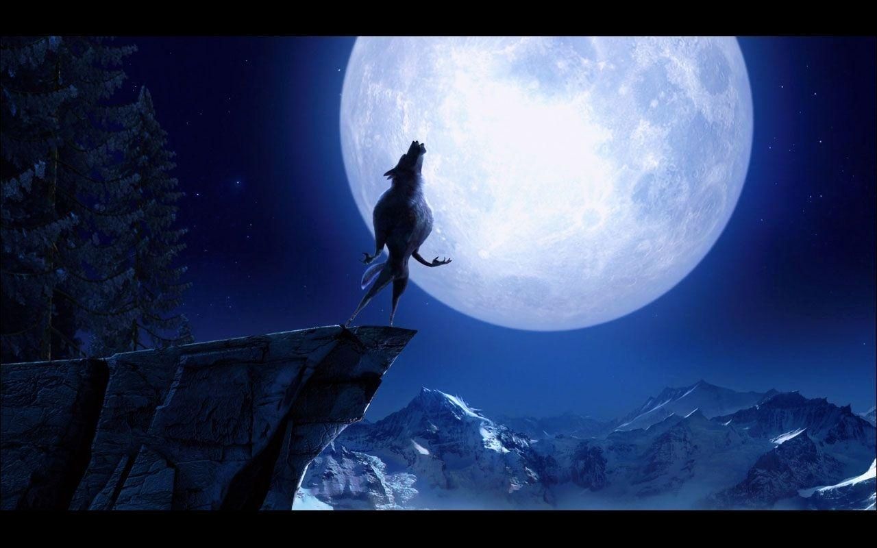 Lupo che ulula sotto luna, 1280x800 720p, Laptop