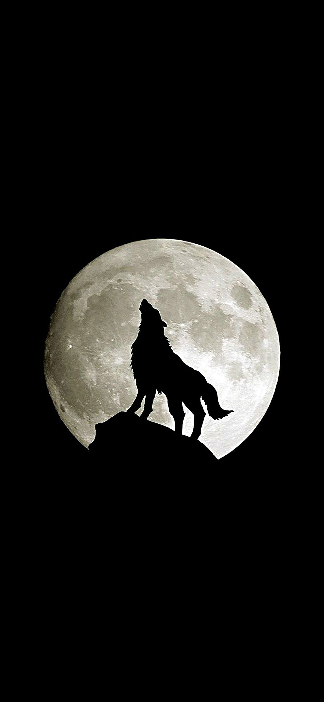 Lupo che ulula alla luna, 1125x2436 Verticale, Telefono