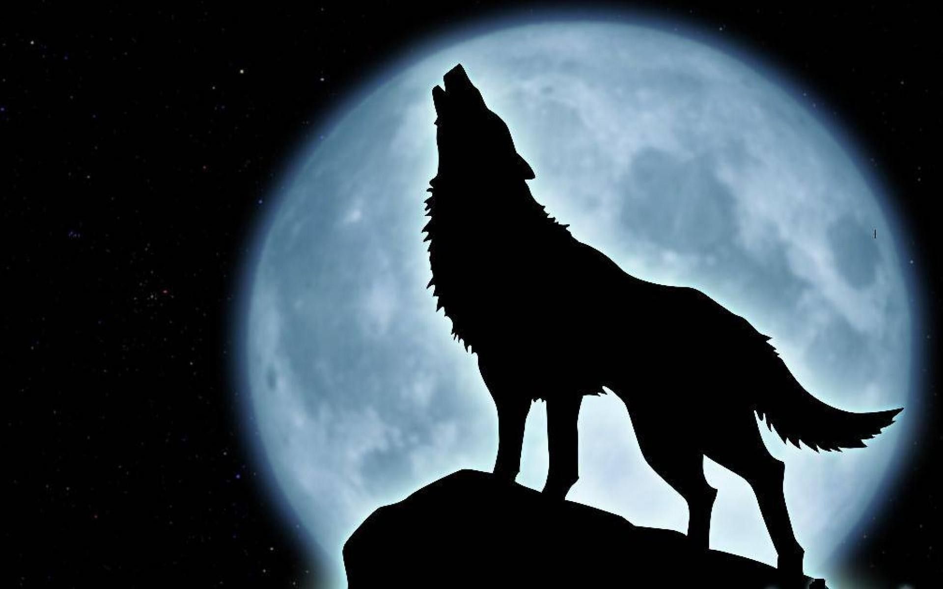 Lupo che ulula sagoma luna, 1920x1200 Full HD+, Laptop