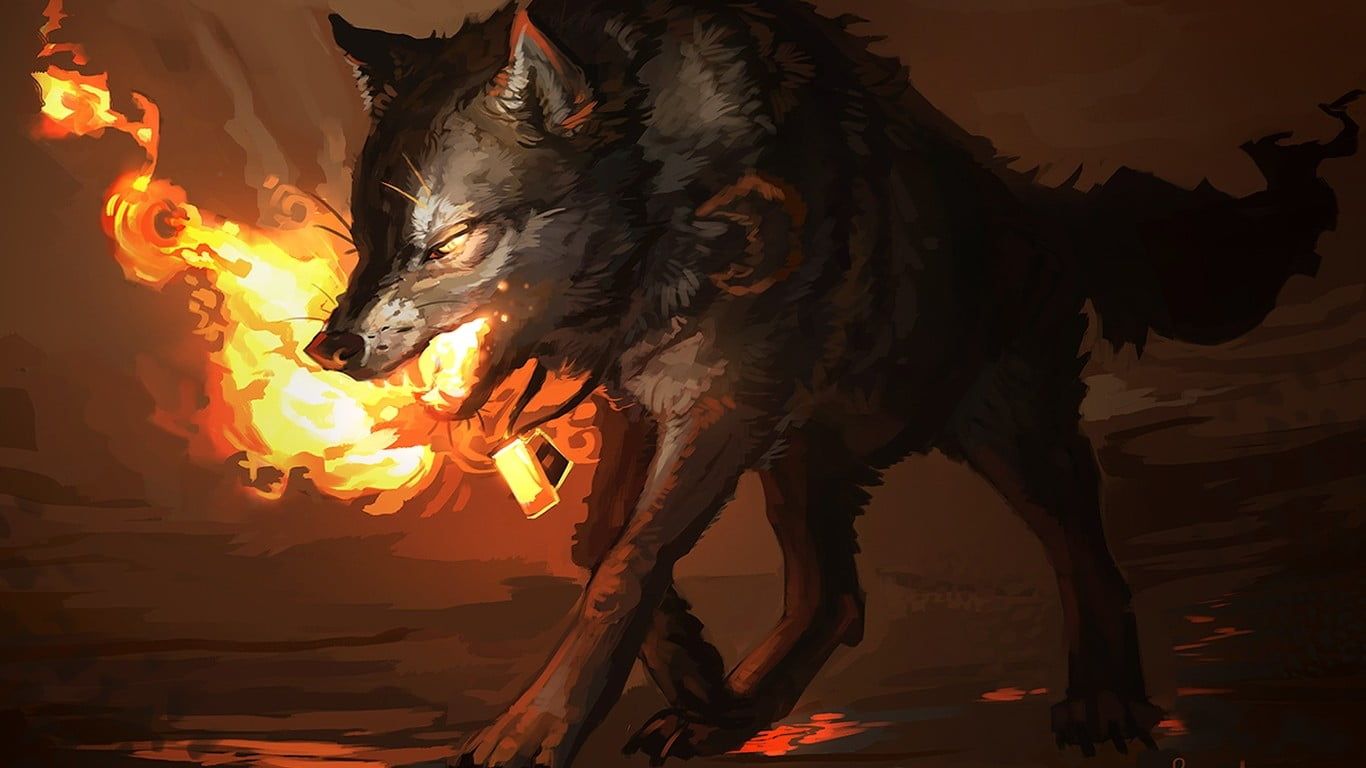 Lupo di fuoco ringhiante, 1366x768 HD, Desktop