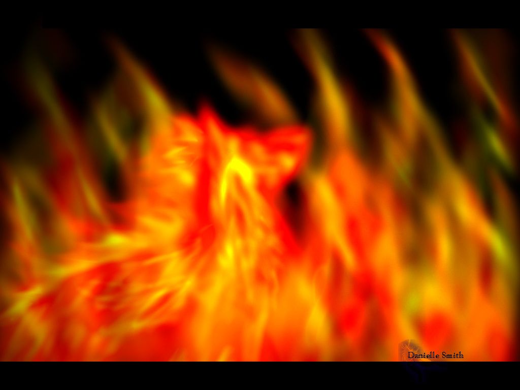 Lupo bianco con fiamme, 1920x1080 1080p, PC Desktop