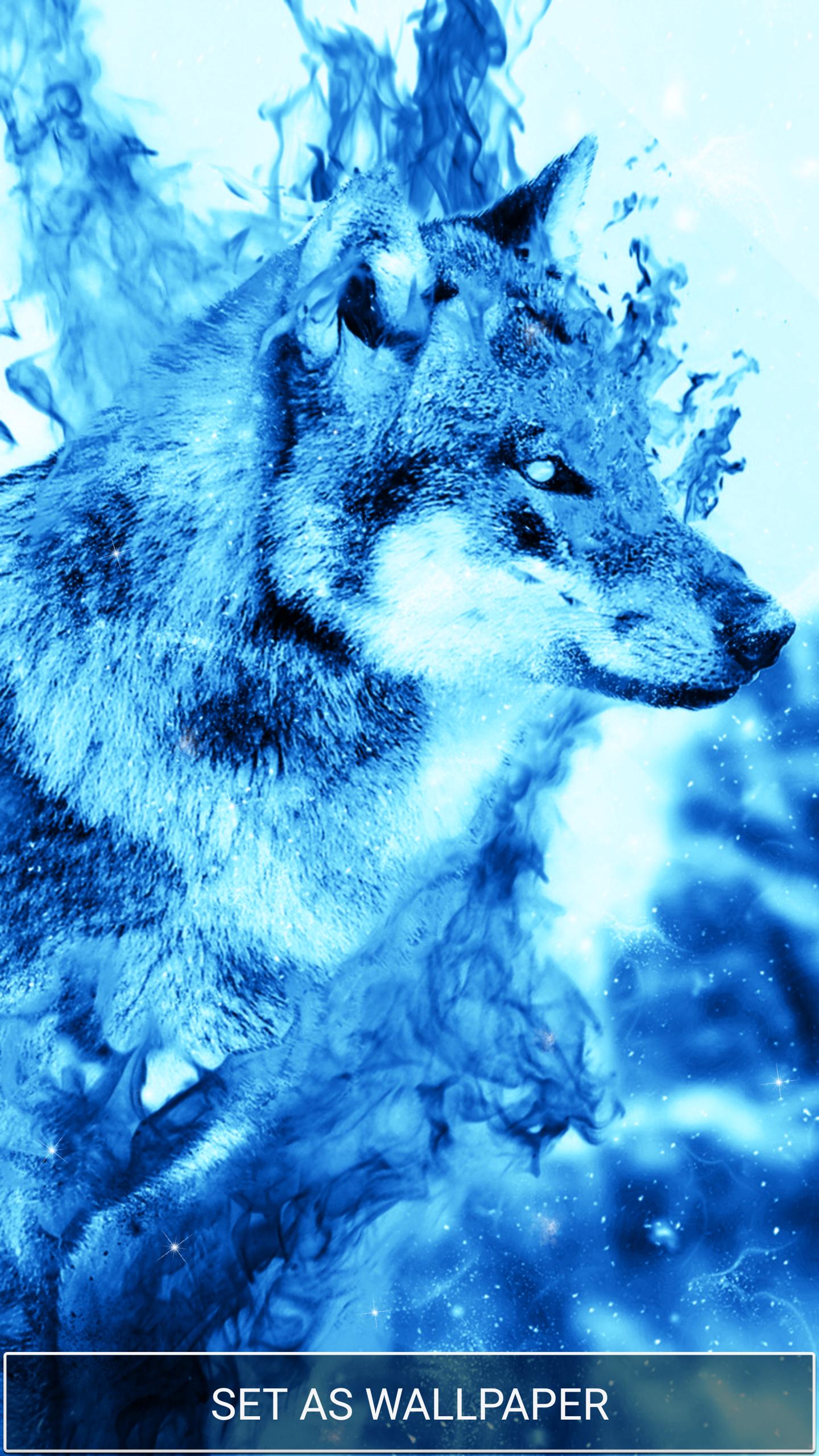 Lupo blu ghiaccio, 1280x1024 720p, PC
