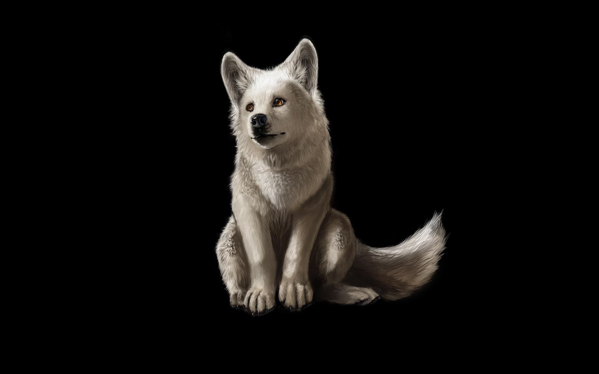 Lupo di ghiaccio blu, 1440x2560 Verticale, Mobile