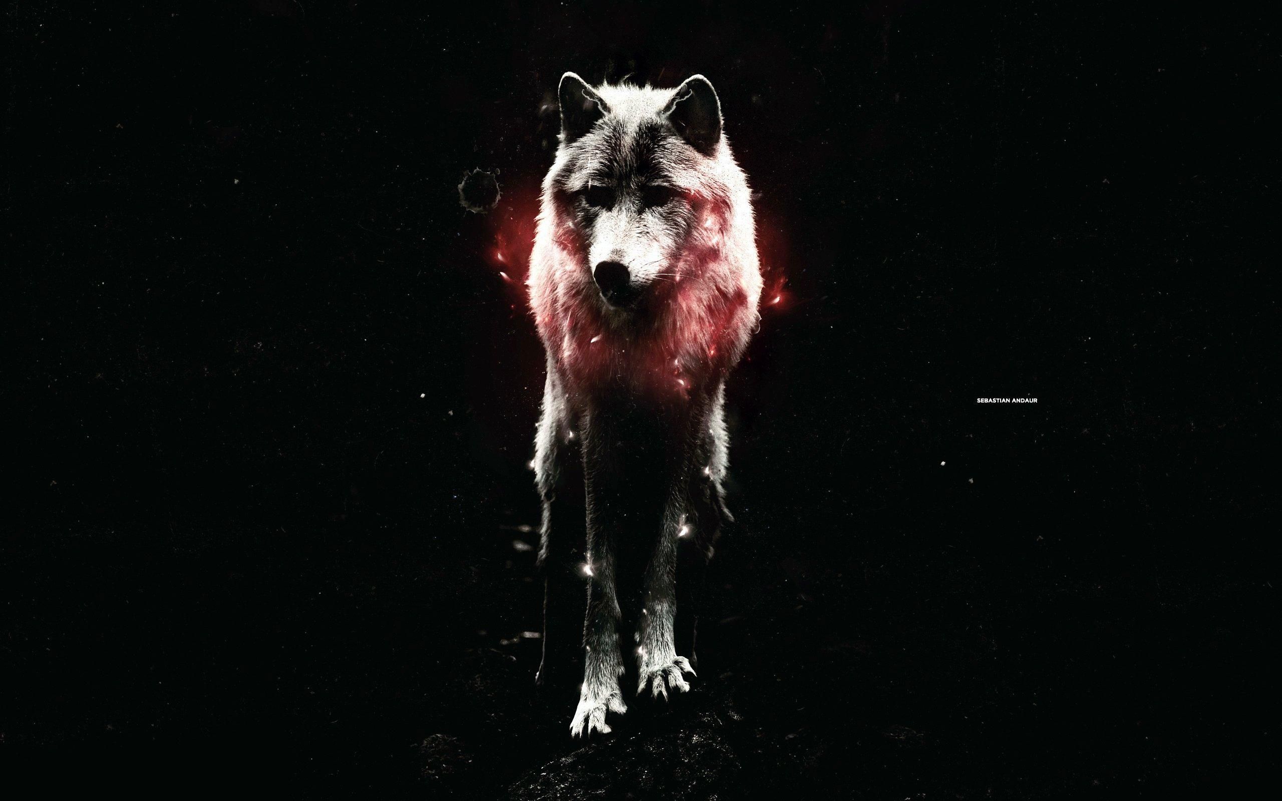 Stemma Stark lupo argento, 1920x1080 Full HD, PC