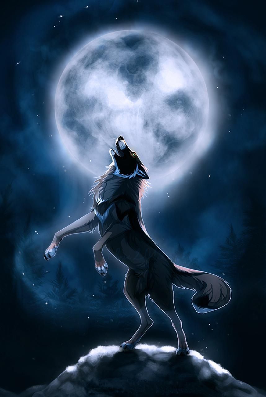 Lupo che ulula alla luna, 858x1280 Full HD Verticale, Smartphone