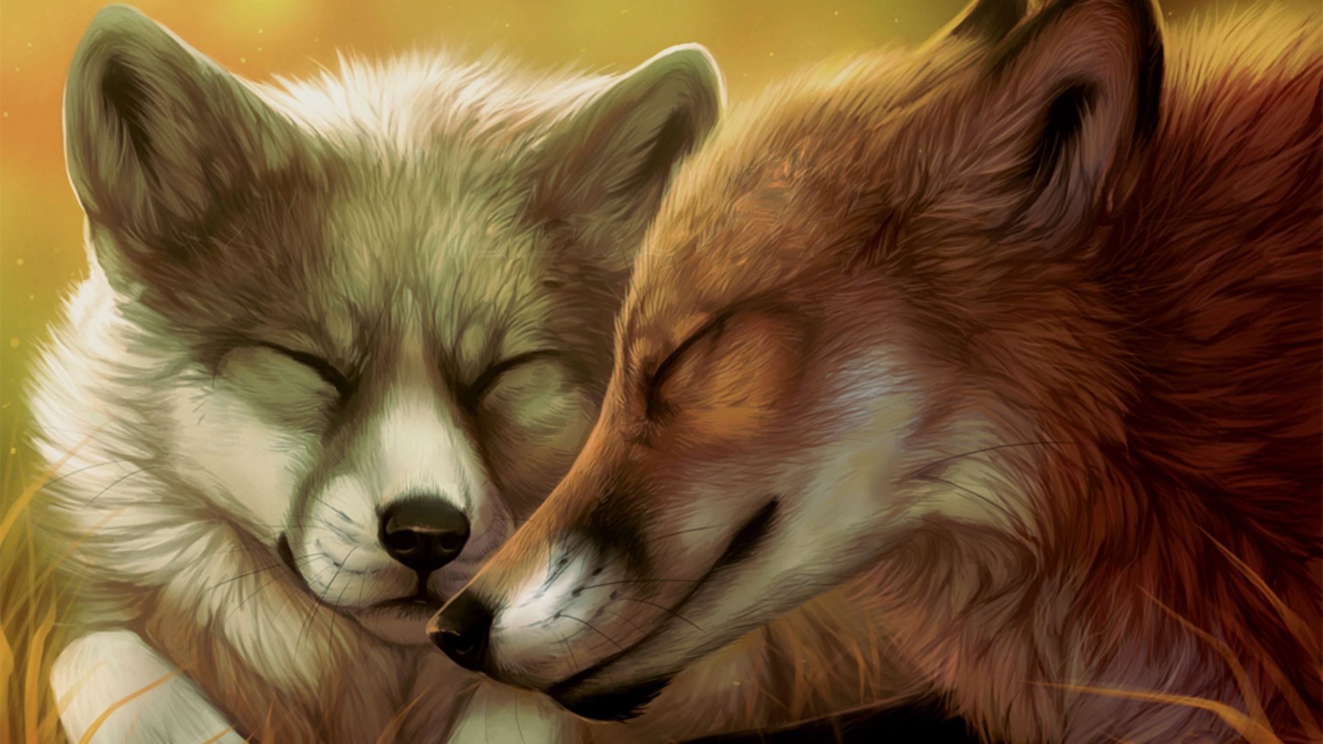 Due lupi innamorati abbracciati, 1920x1080 Full HD 1080p, PC Desktop