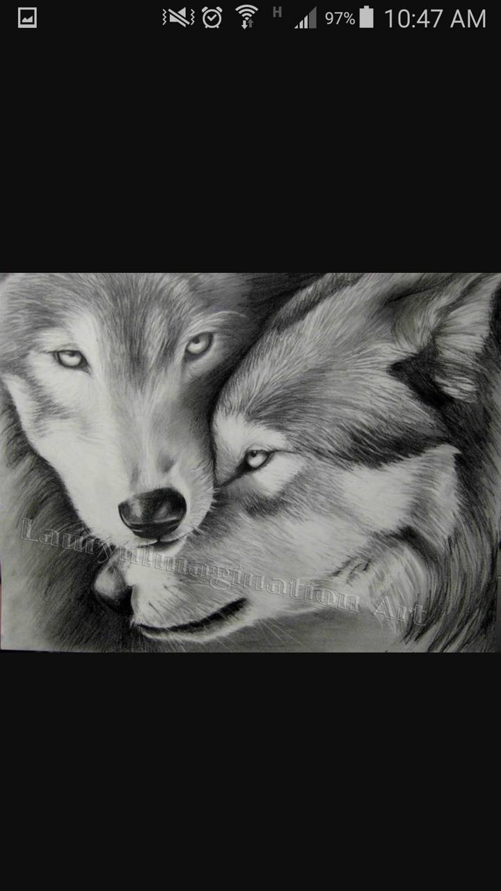 Disegno matita due lupi, 720x1280 Full HD Verticale, Smartphone