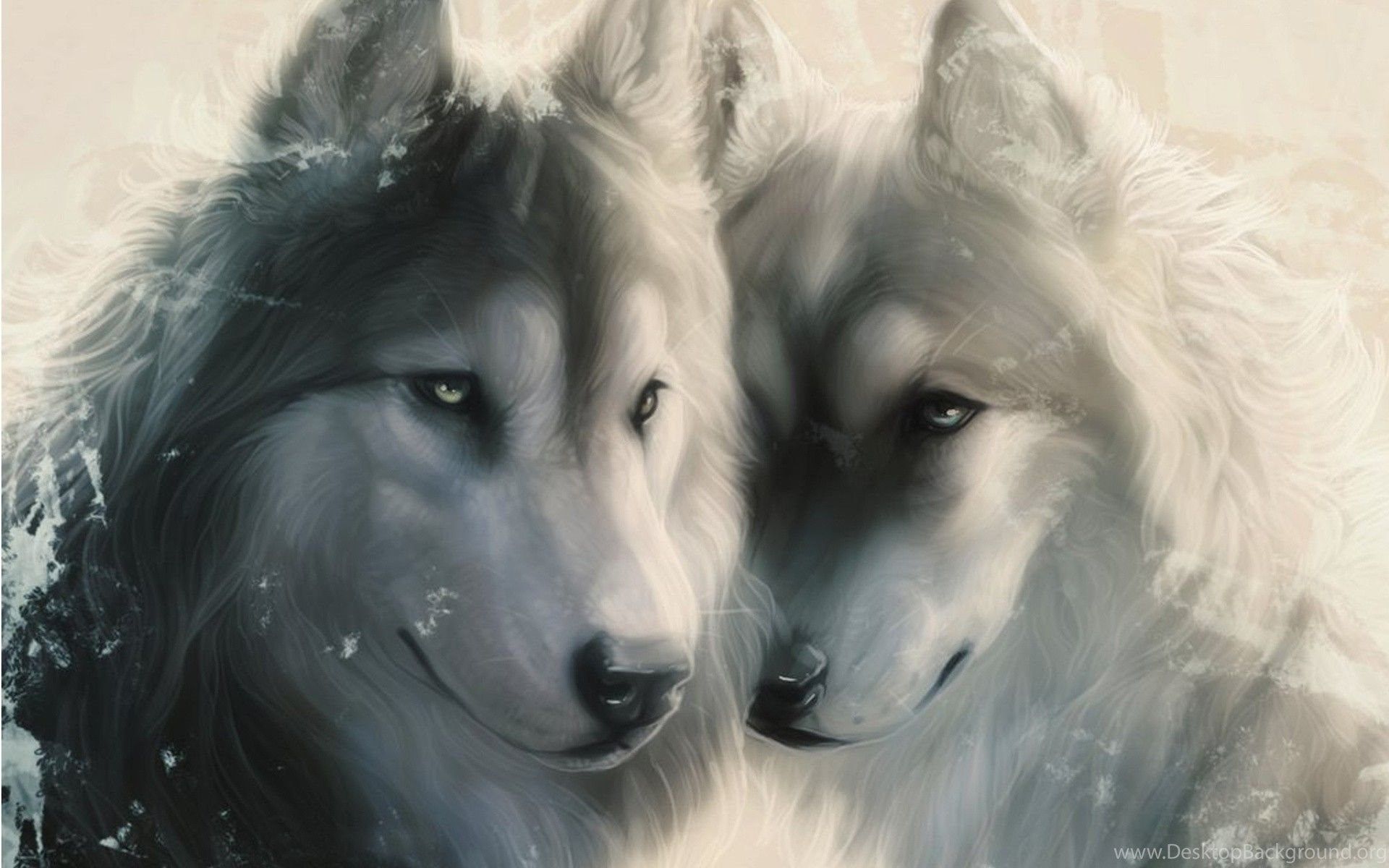 Due lupi grigi affiancati, 1920x1200 Full HD+, PC