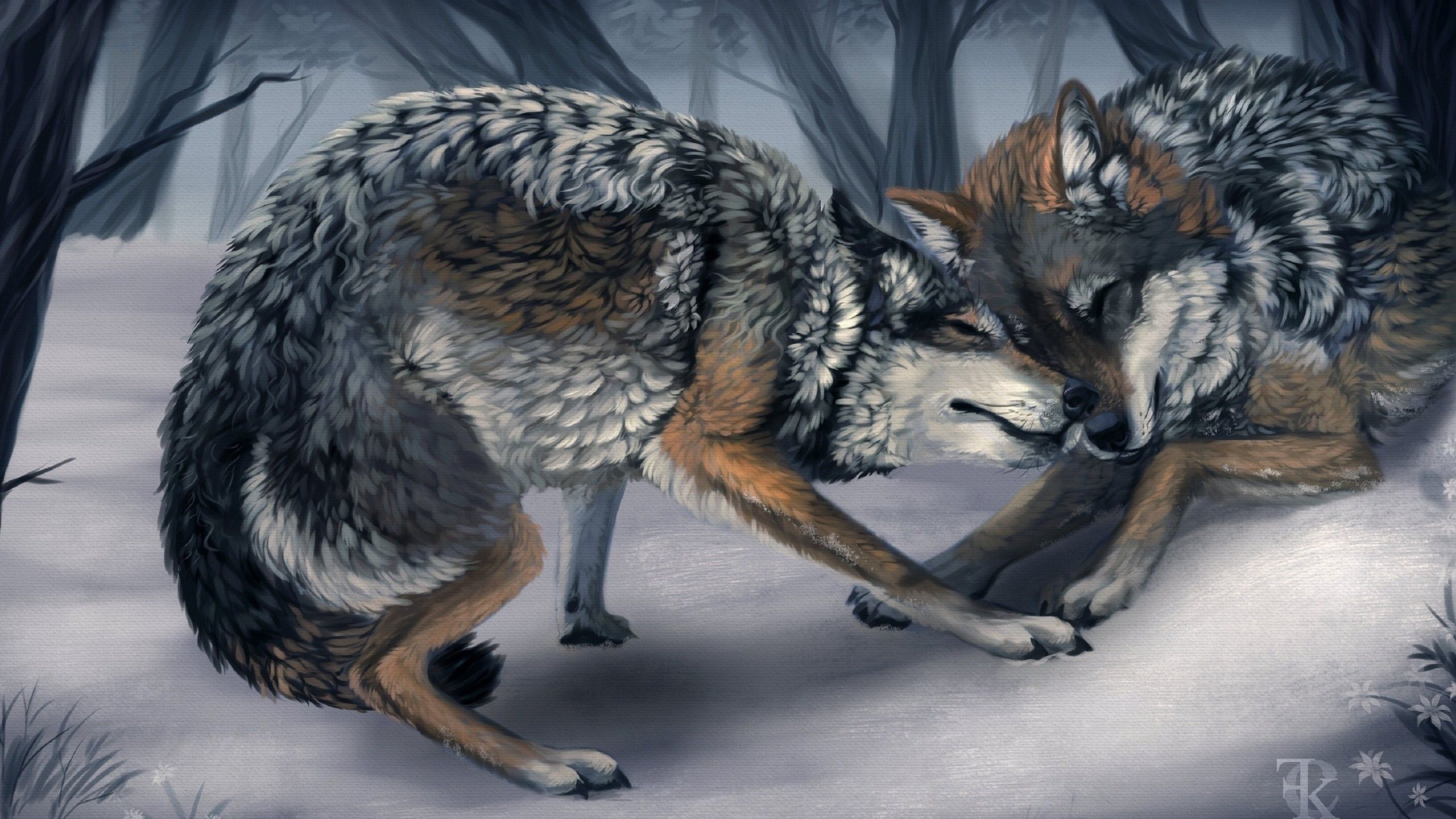Due lupi innamorati nella neve, 2560x1440 2K QHD, PC