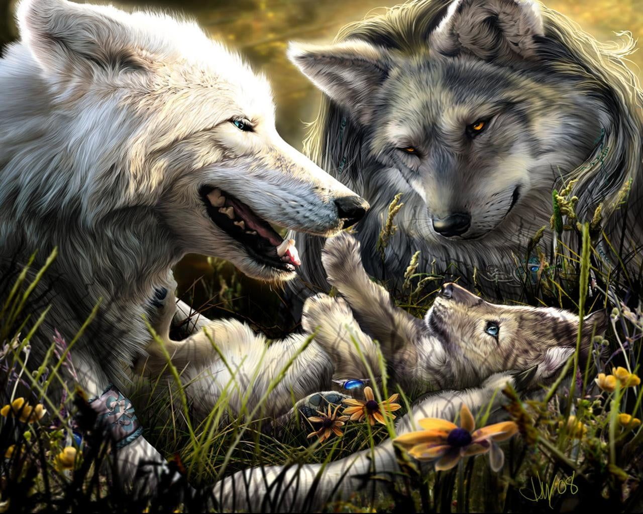Famiglia di lupi con cucciolo, 1280x1024 720p, Laptop