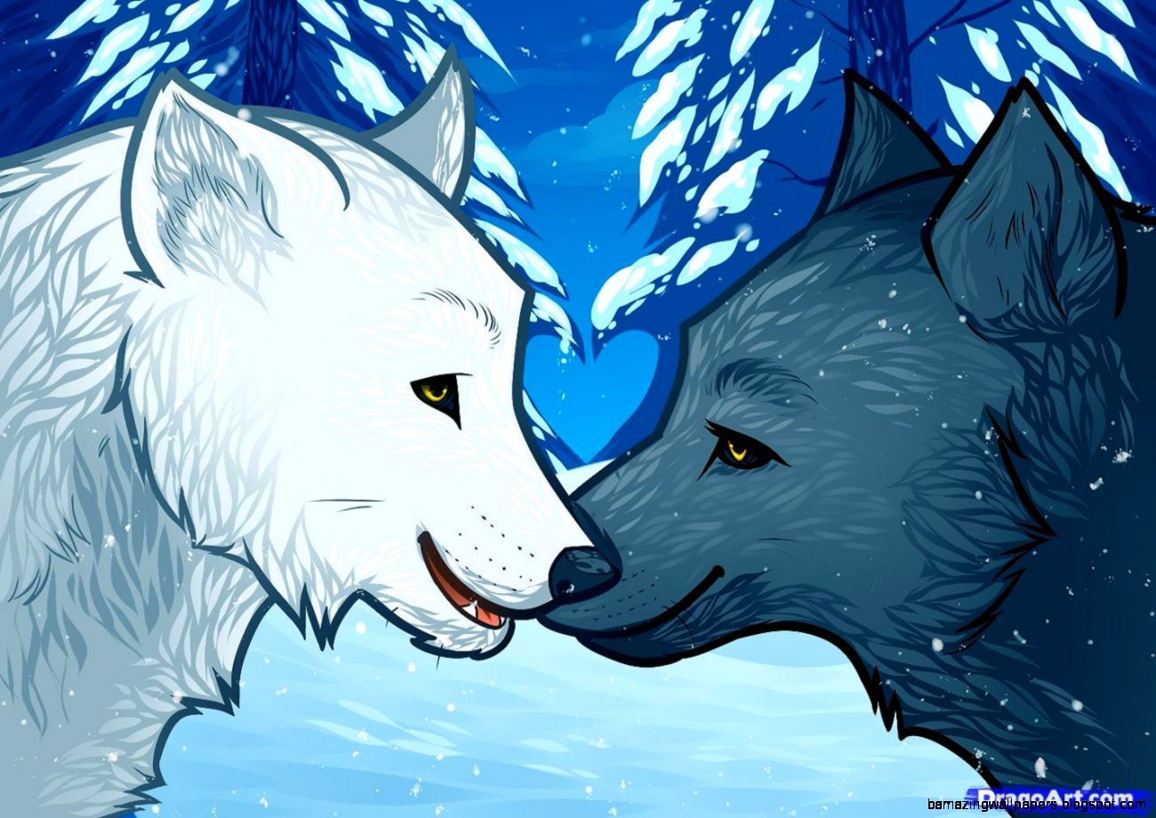 Due lupi innamorati neve, 1300x920 720p, PC