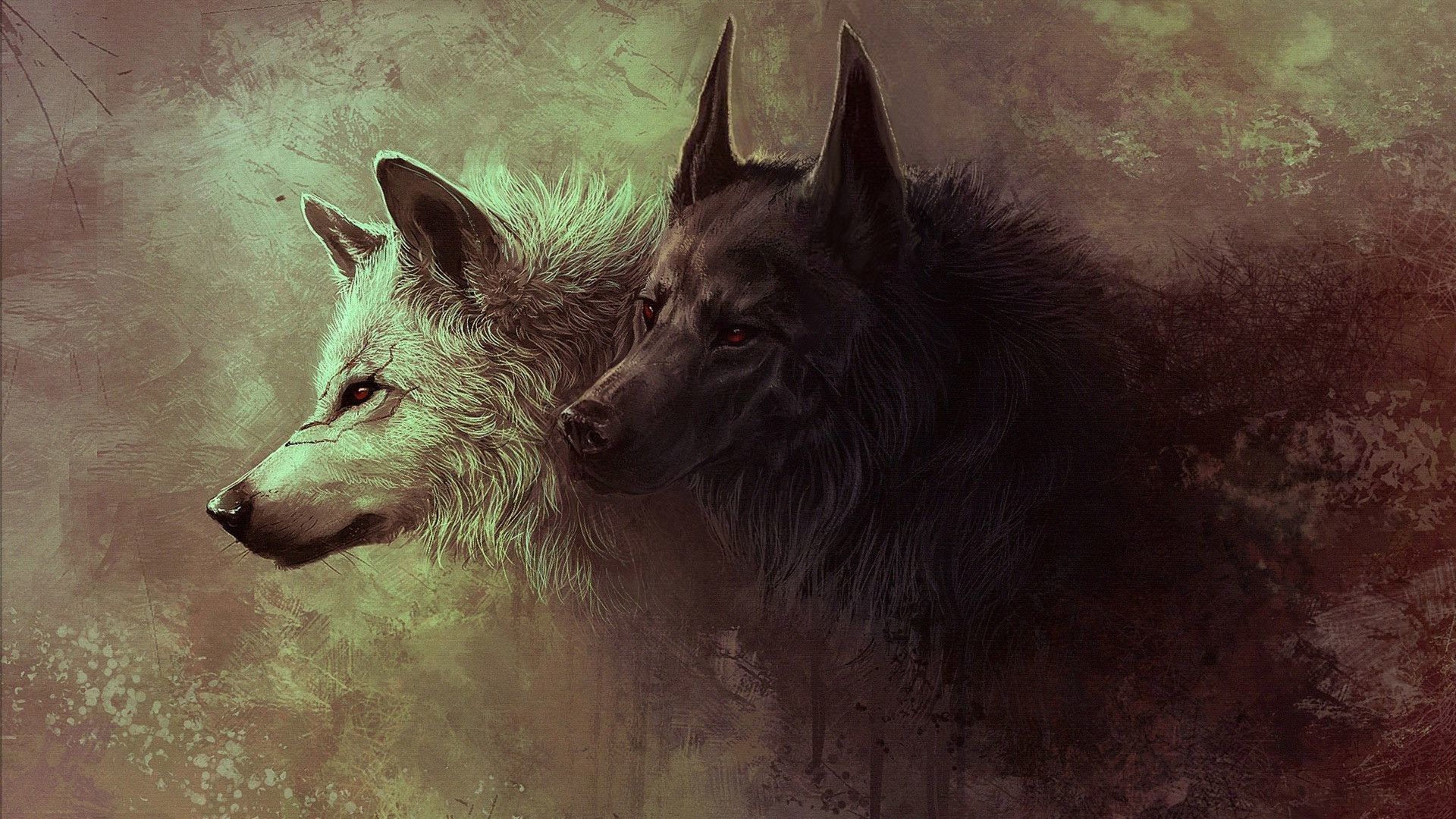 Due lupi bianco e nero, 1920x1080 1080p, PC