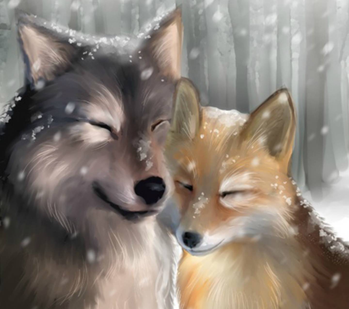Lupo e volpe innamorati neve, 1440x1275 720p, Laptop