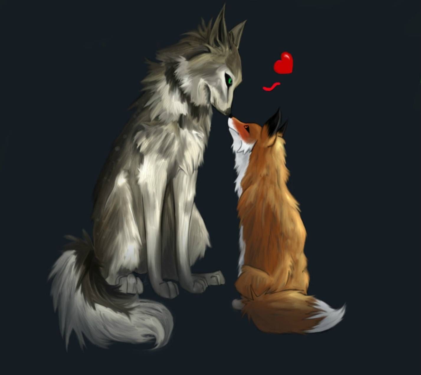 Volpe e lupo innamorati, 1427x1271 HD, Desktop