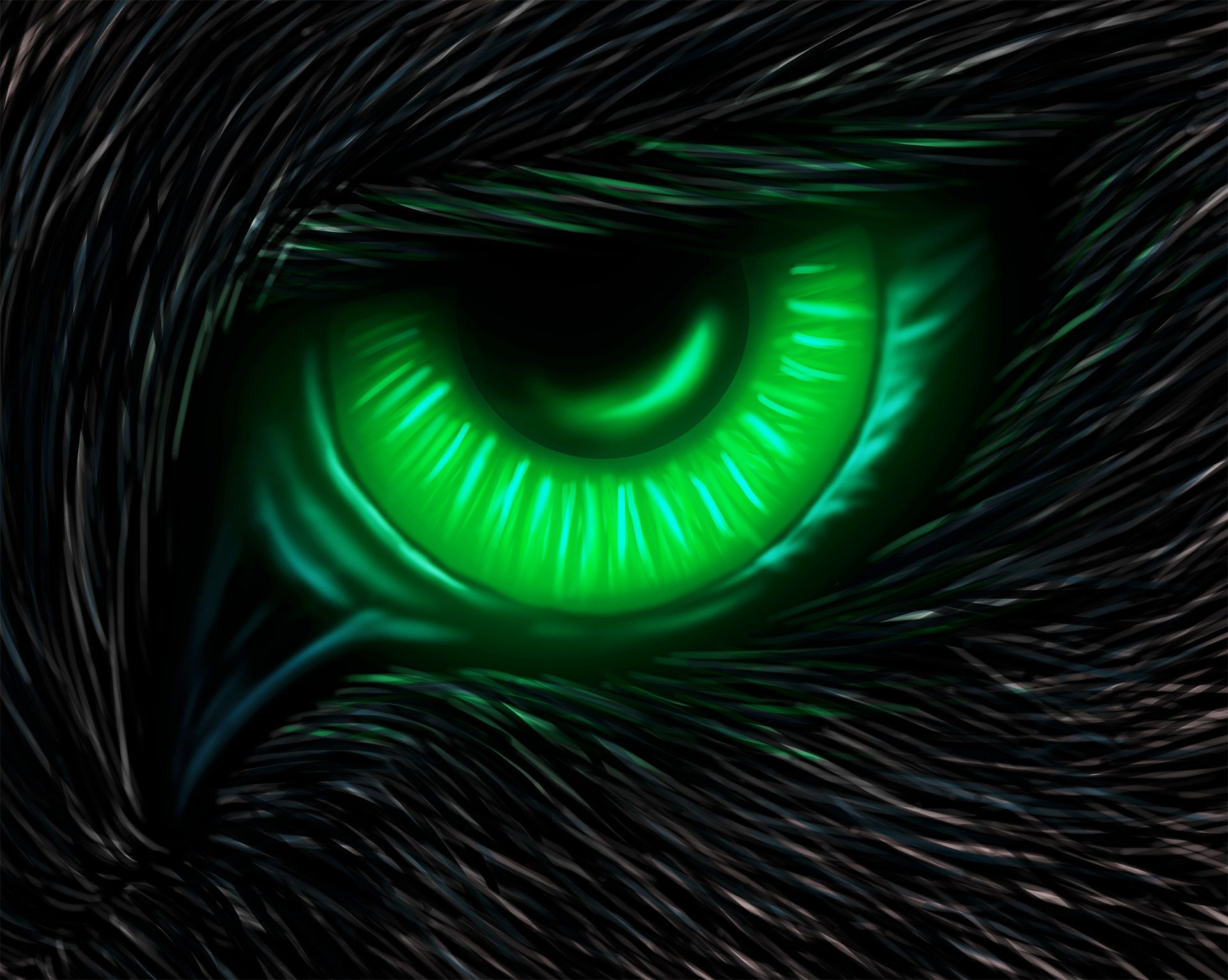 Occhio lupo verde neon, 1920x1532 WUXGA, Laptop