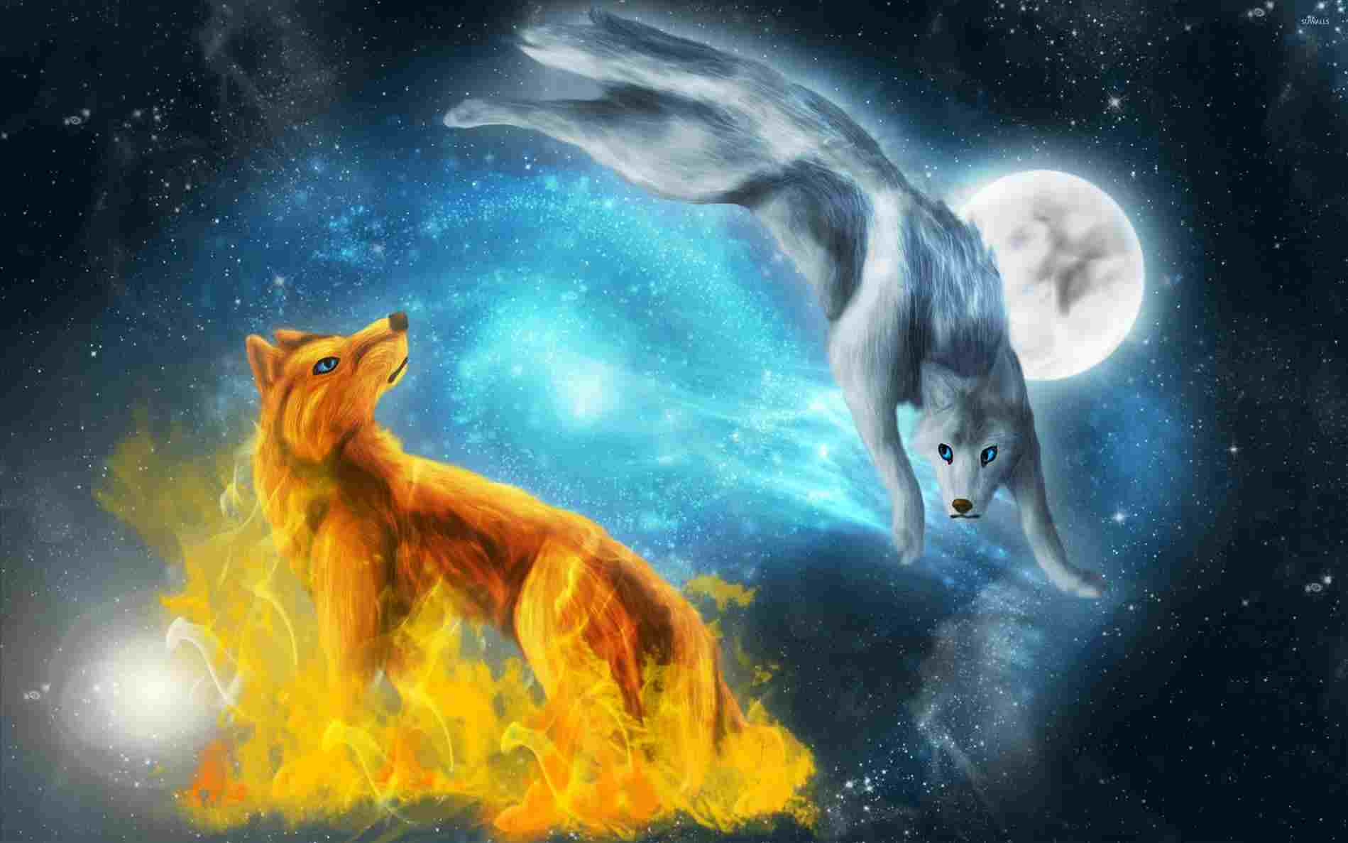 Lupi fuoco e ghiaccio luna, 1899x1187 900p, Desktop