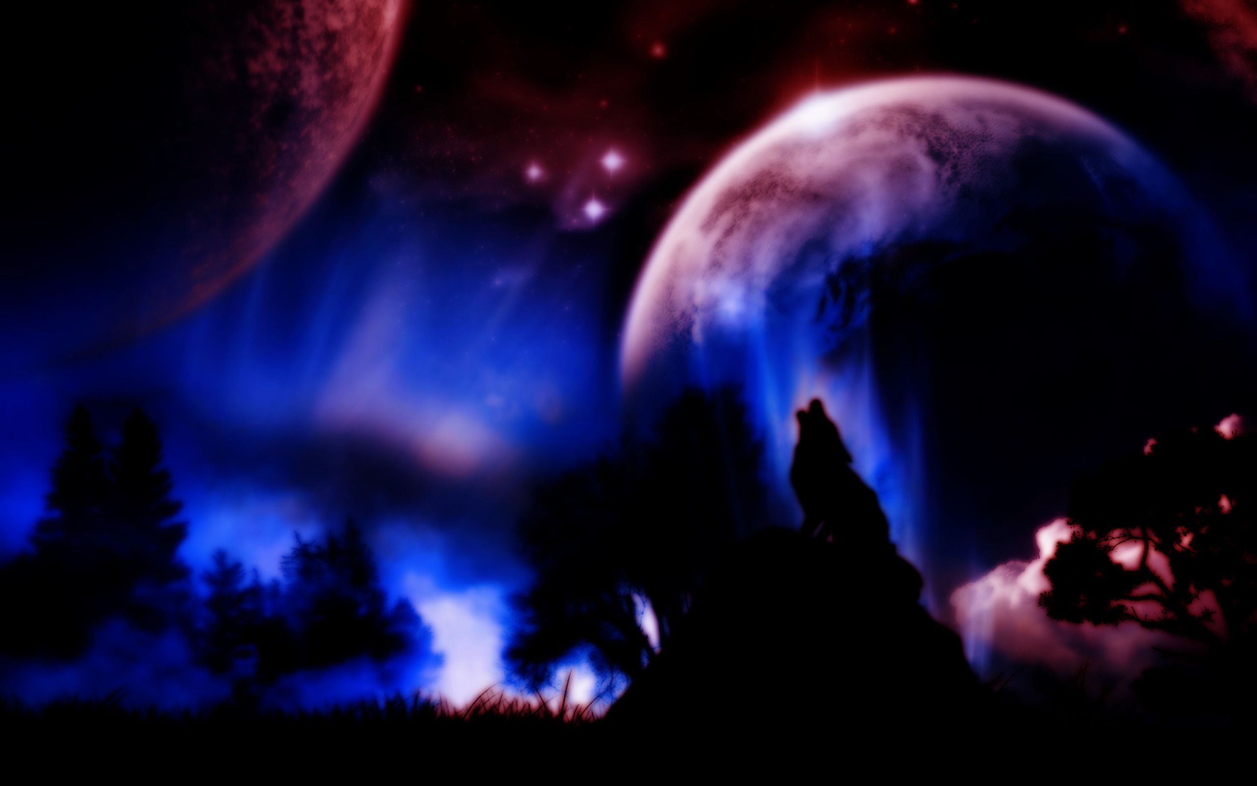 Leopardo neon blu fractal, 1517x853 720p, Laptop