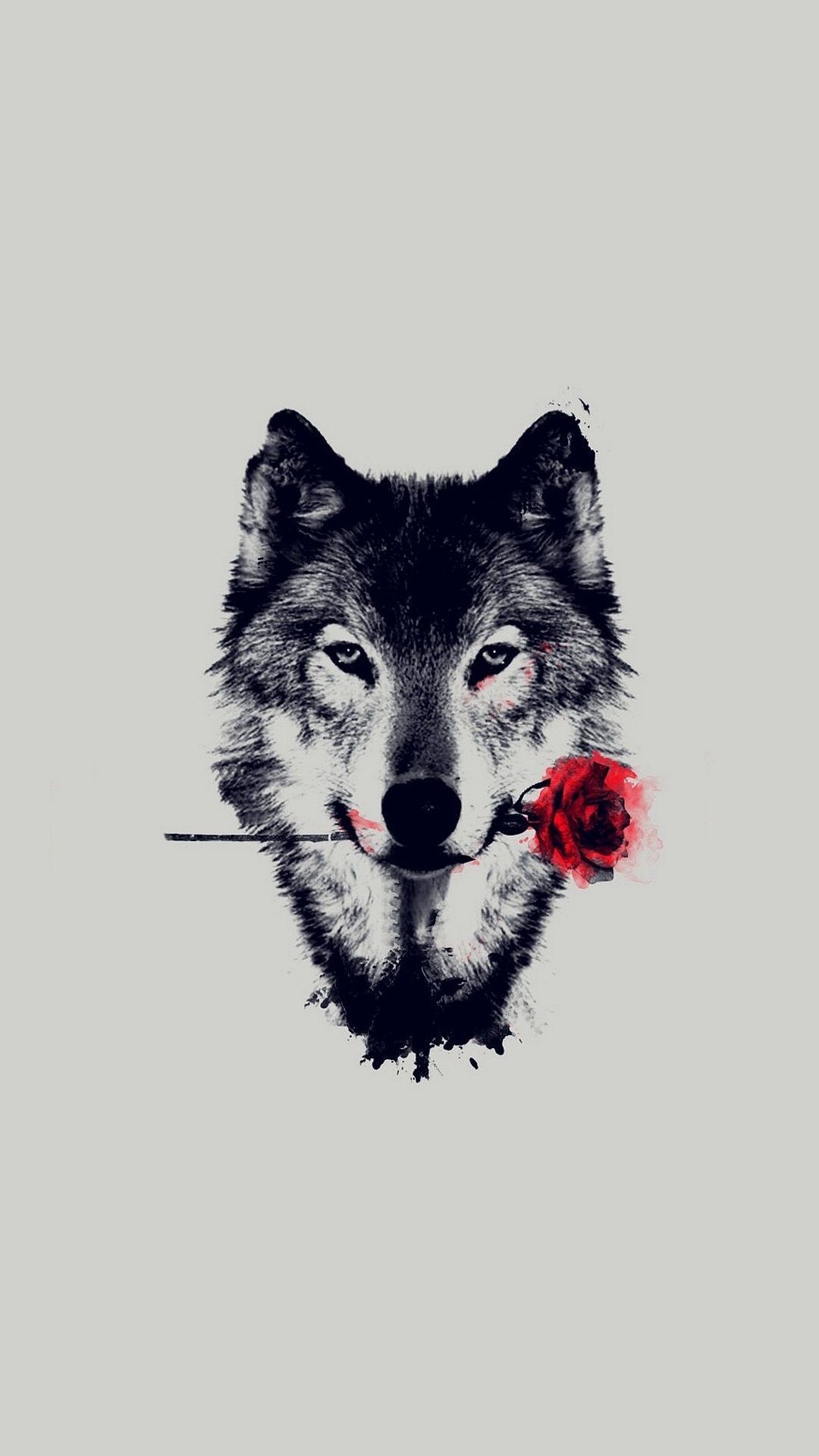 Lupo con rosa rossa, 1080x1920 Verticale, Mobile
