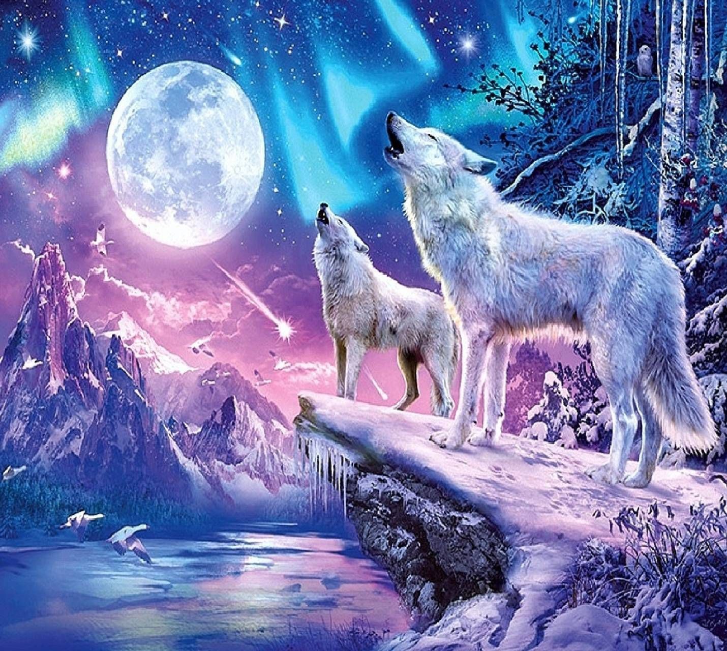 Lupi bianchi ululano luna, 1430x1280 HD, Desktop