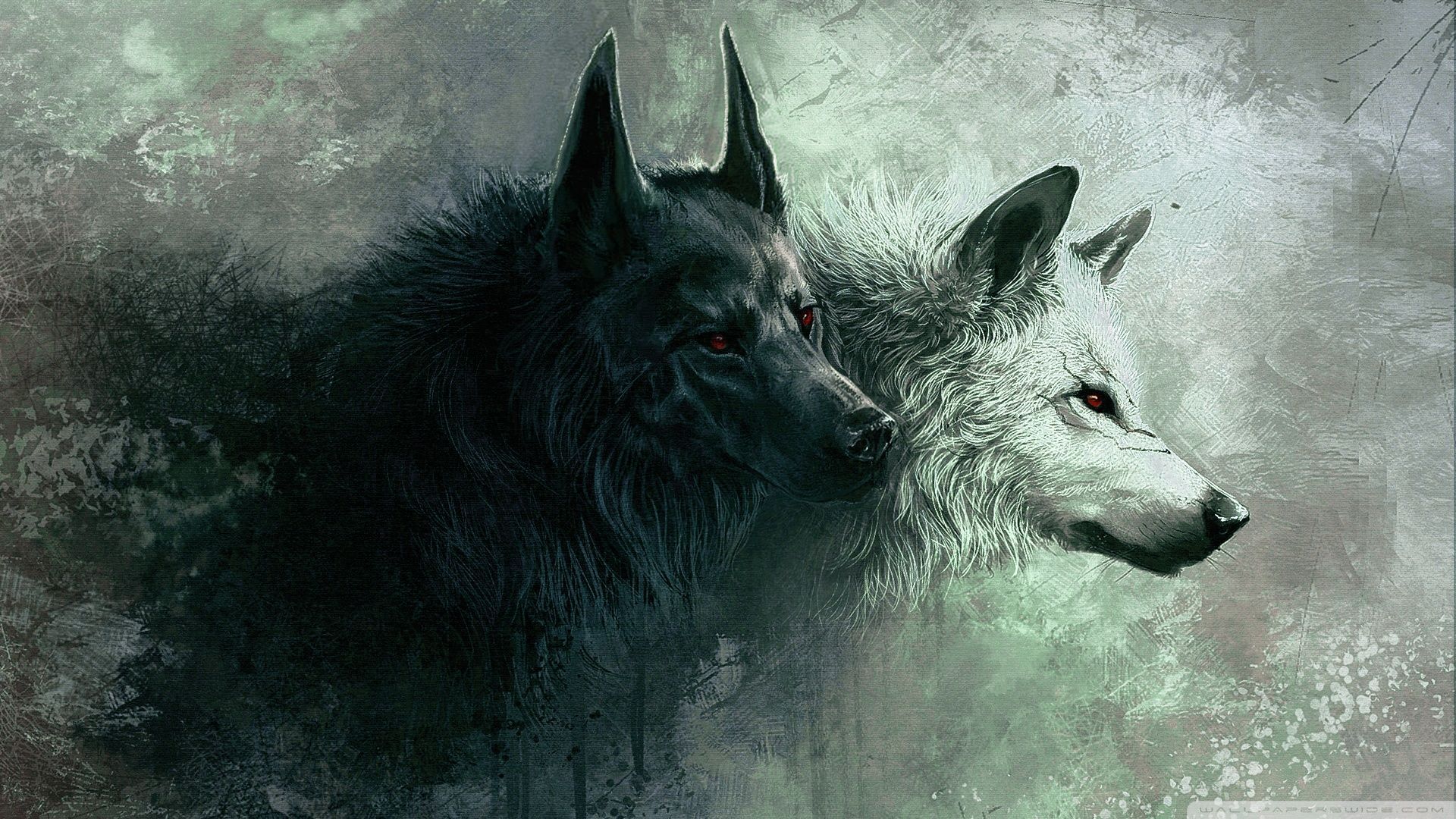 Due lupi anime bianco nero, 1920x1080 Full HD 1080p, Desktop