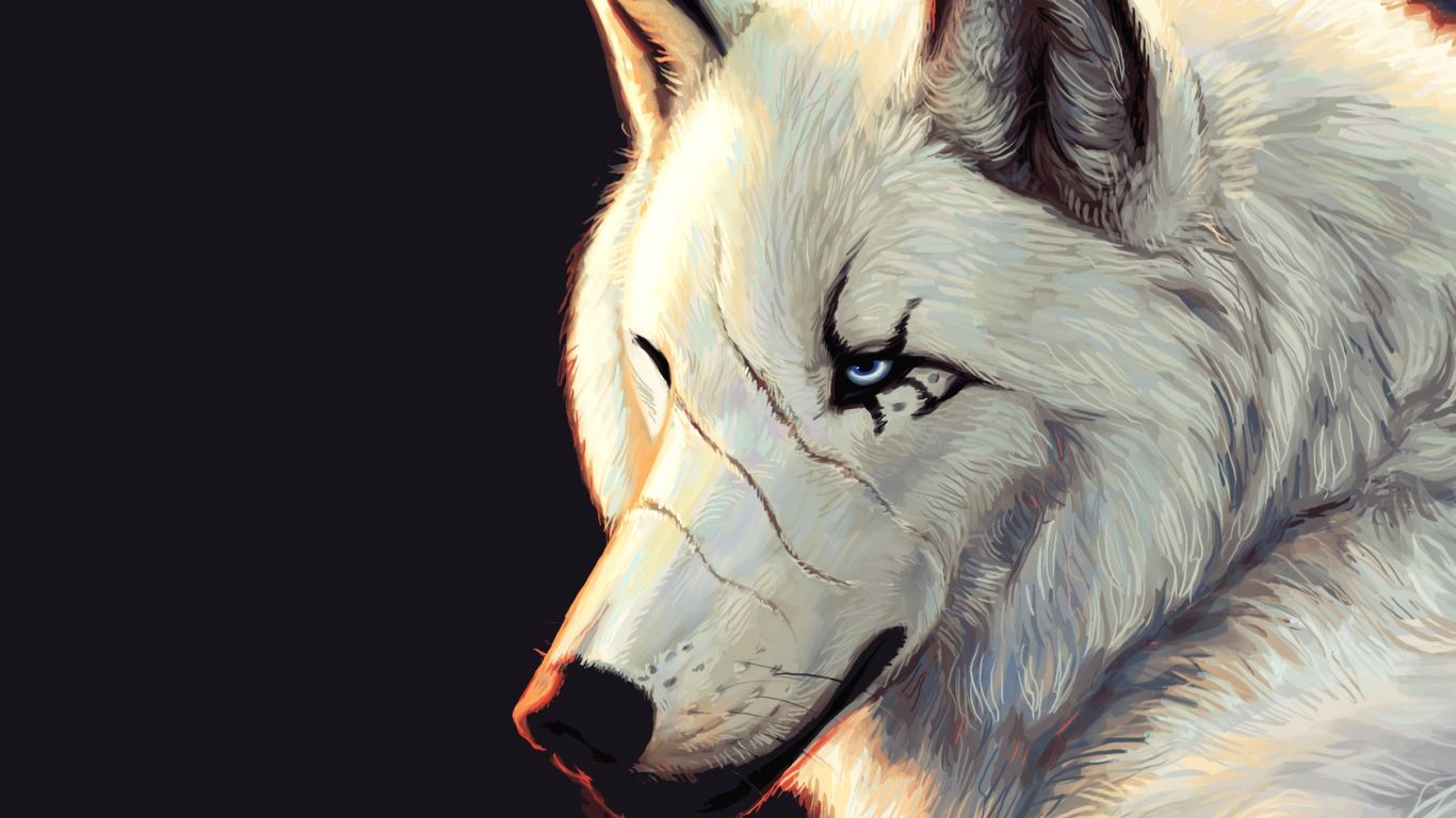 Lupo bianco anime profilo, 1366x768 720p, PC