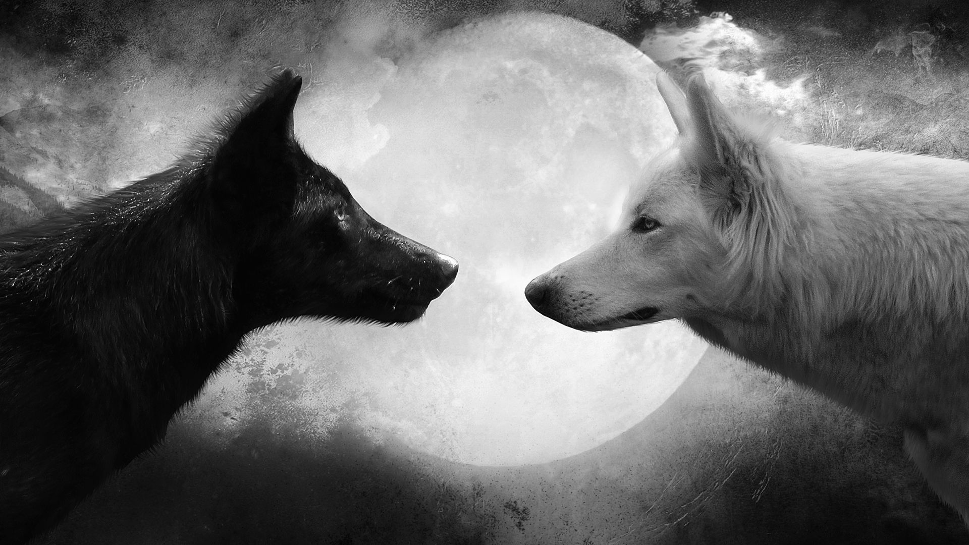Lupo nero e bianco luna, 1920x1080 Full HD, PC Desktop